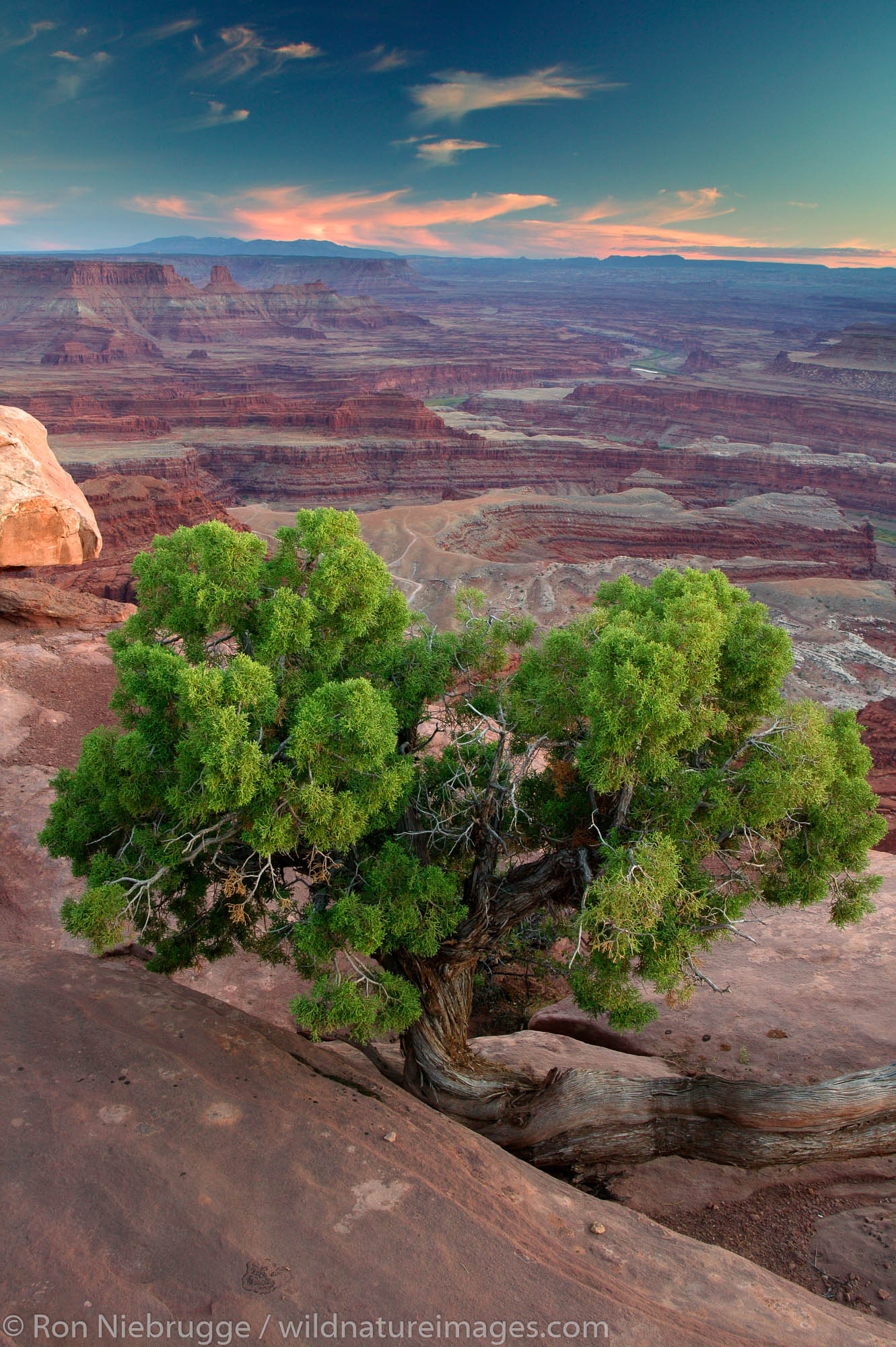 Dead Horse Point Overlook at sunset from Dead Horse Point State Park, near Moab, Utah.