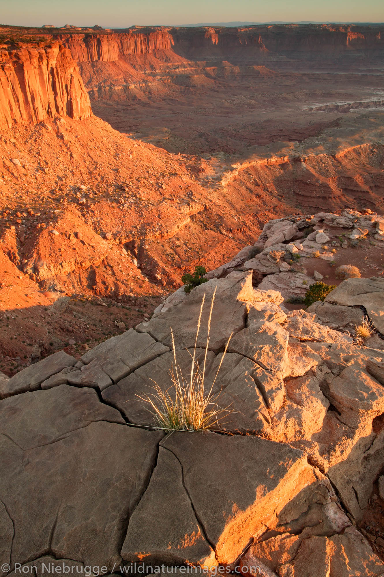 White Rim Overlook, Island in the Sky Region of Canyonlands National Park, near Moab, Utah.