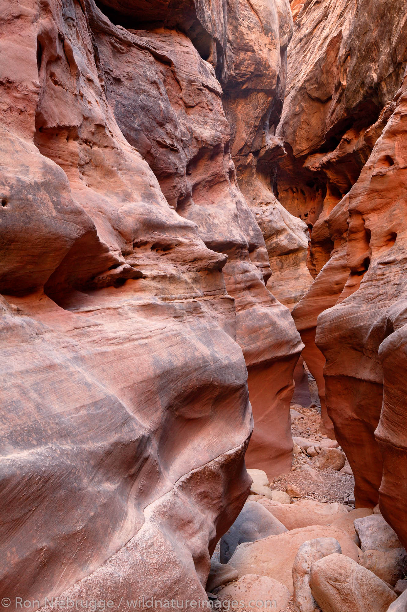 Little Wild Horse Slot Canyon, San Rafael Swell, Utah.