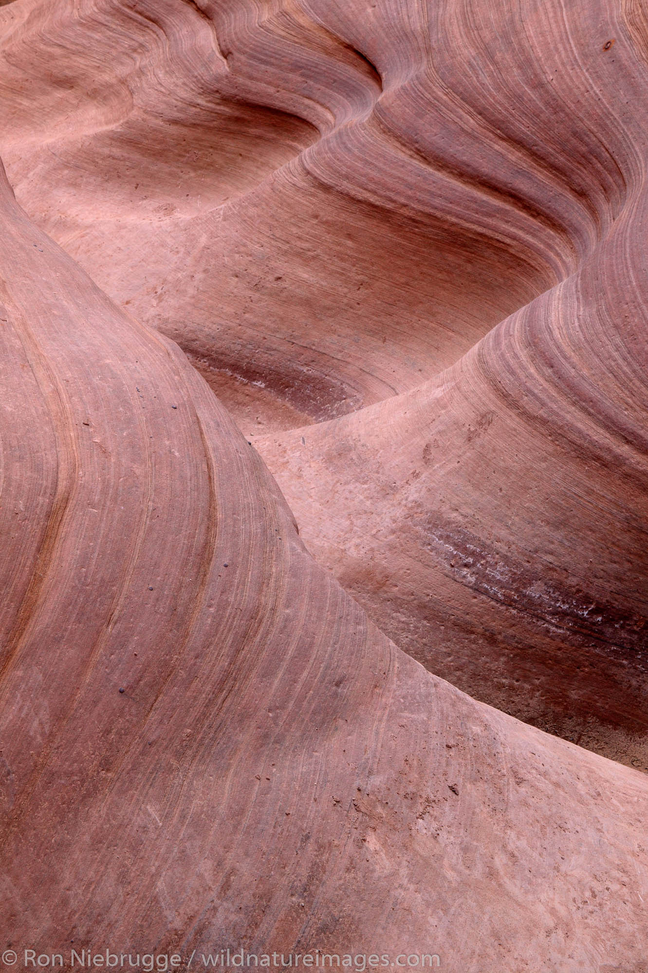 Little Wild Horse Slot Canyon, San Rafael Swell, Utah.