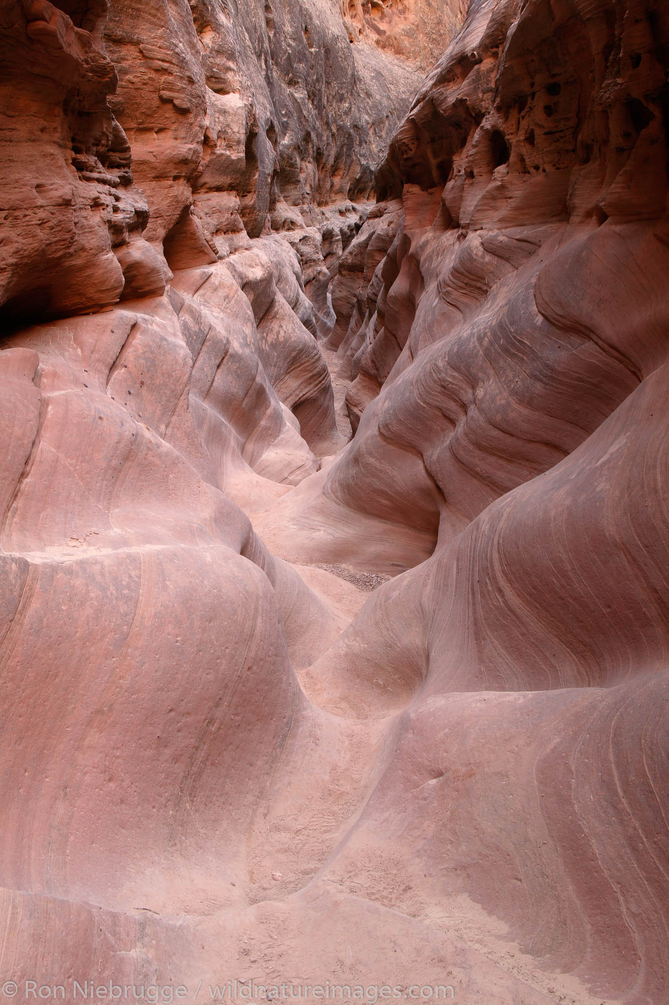 Little Wild Horse Slot Canyon, San Rafael Swell, Utah.