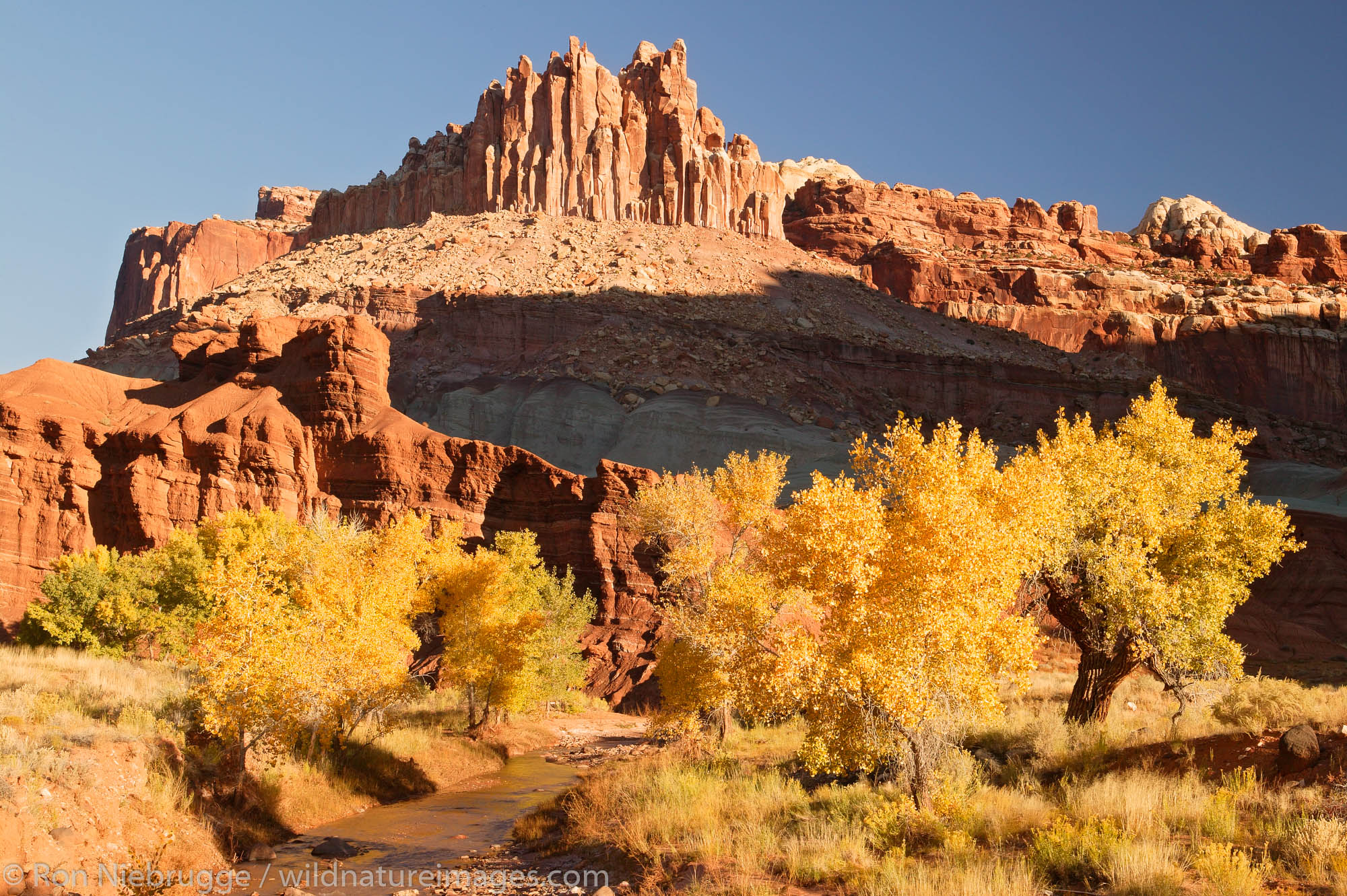 The Castle Rises Above Sulphur Creek Capitol Reef National Park Utah 