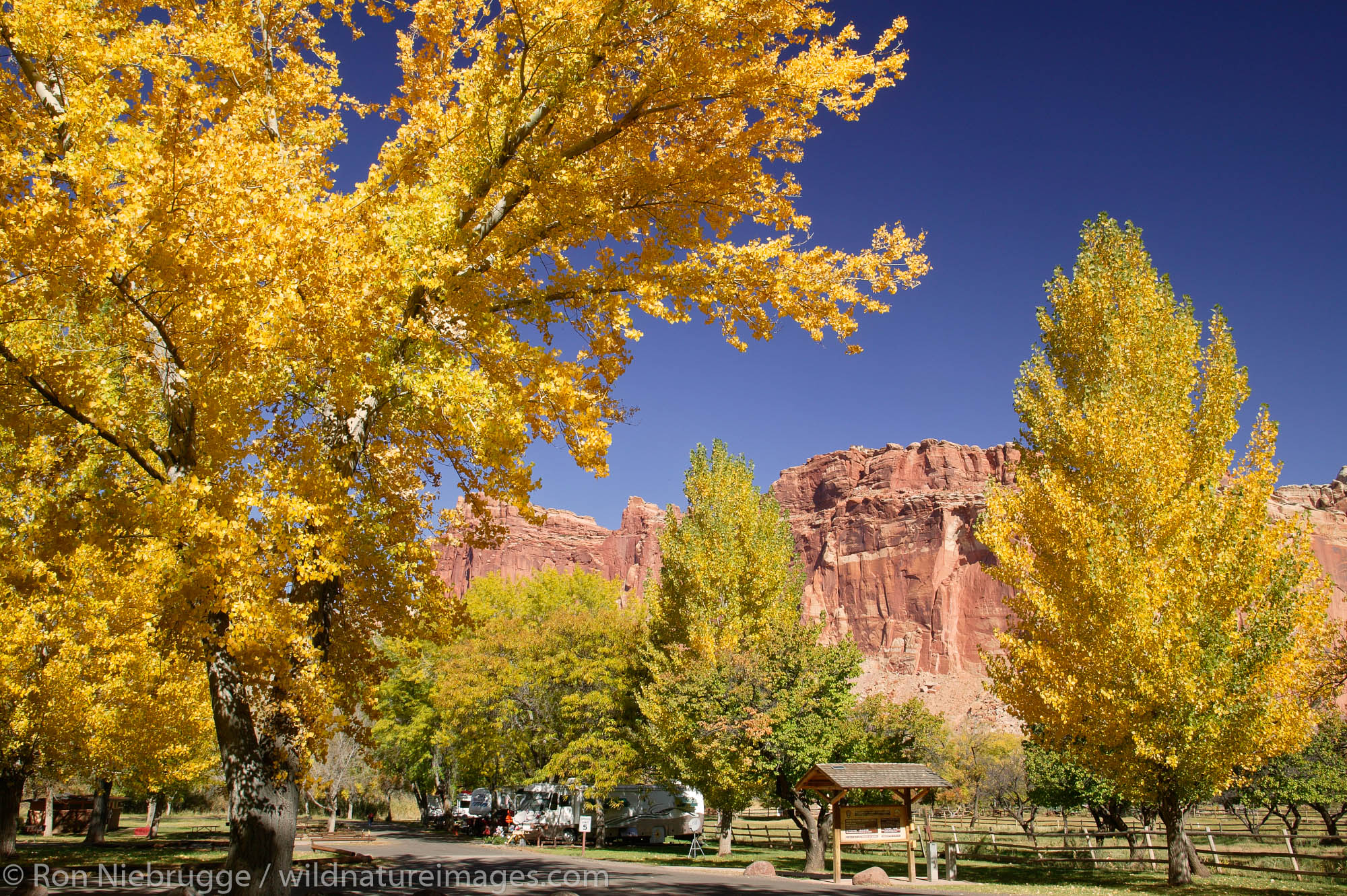 Campground in Fruita, Capital Reef National Park, Utah.