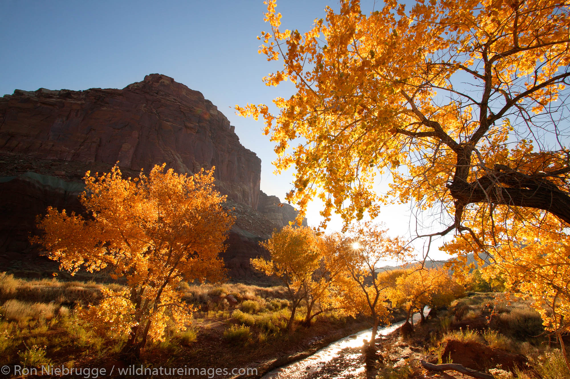 Sulphur Creek, Capital Reef National Park, Fruita, Utah.