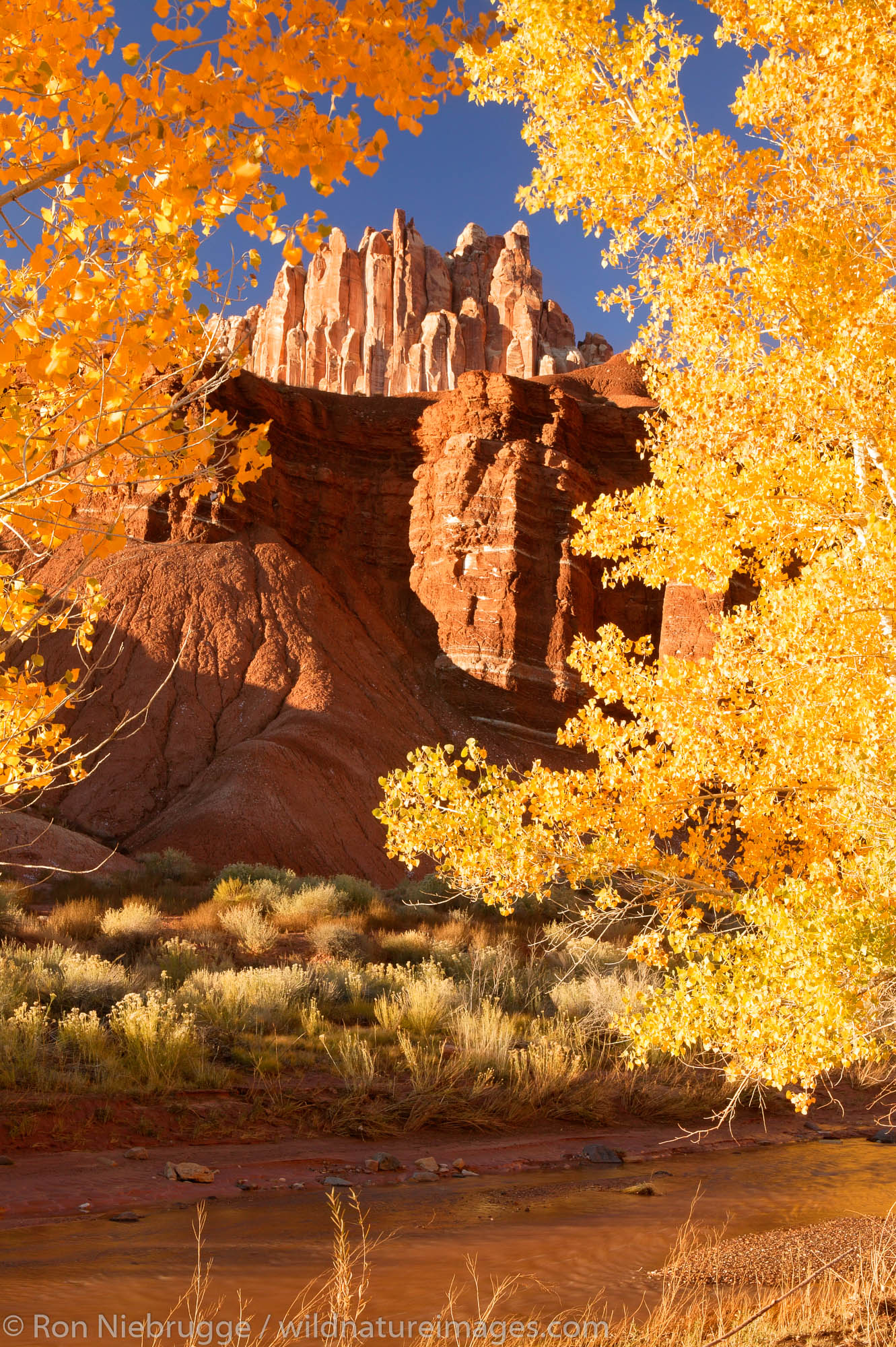 The Castle rises above Sulphur Creek, Capital Reef National Park, Fruita, Utah.