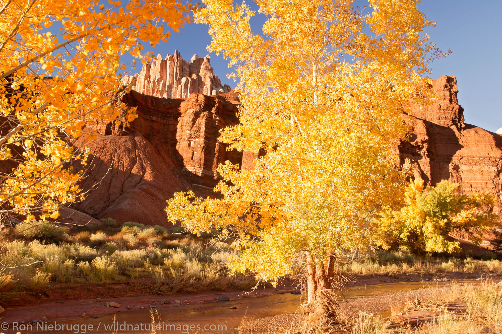 The Castle rises above Sulphur Creek, Capital Reef National Park, Fruita, Utah.