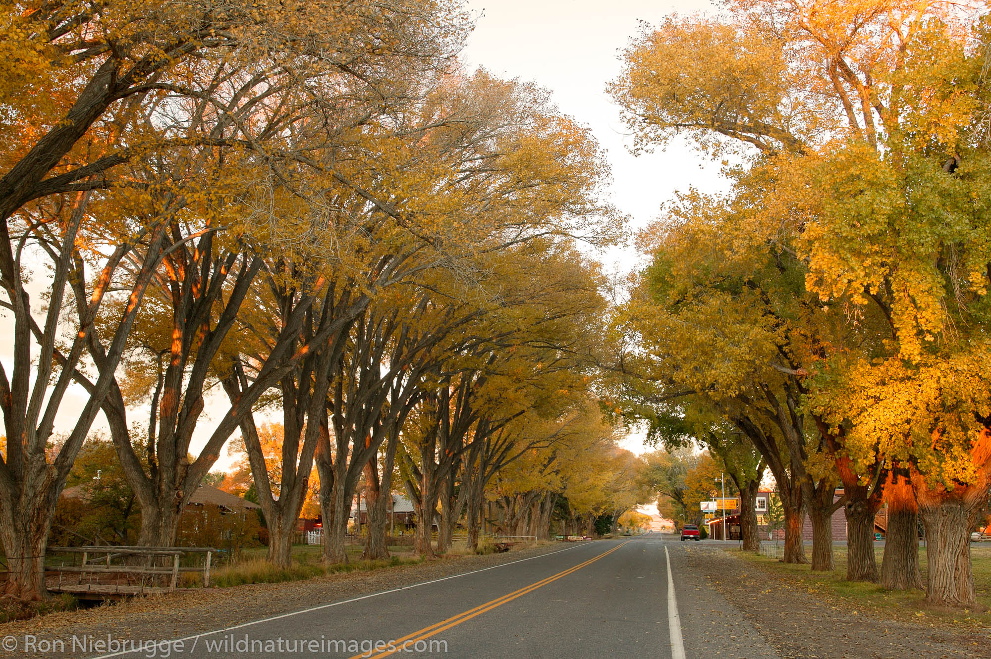 Highway 24 is the main street through Torrey Utah, gateway to Capital Reef National Park.