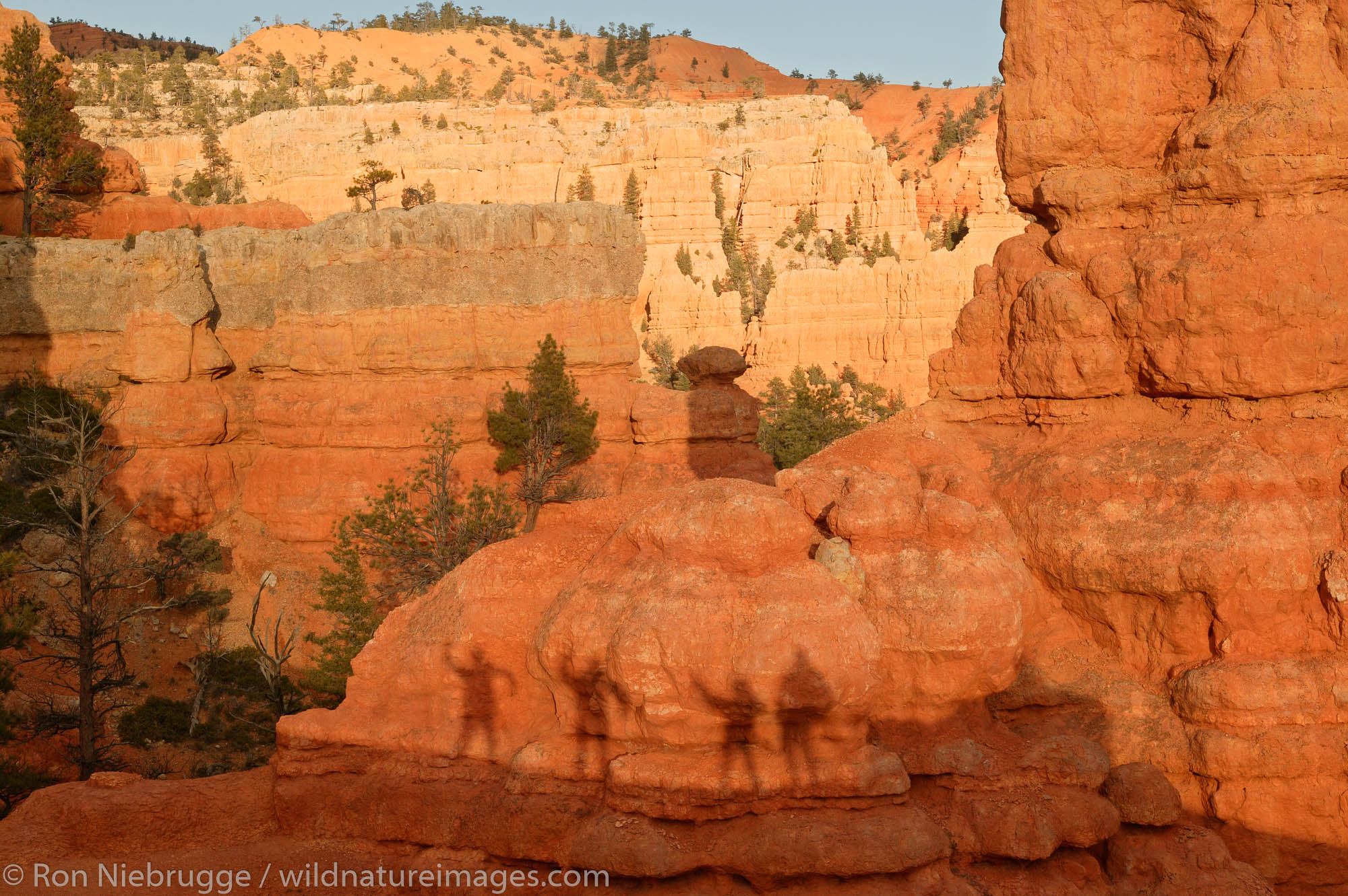 Visitor's shadows on the red rocks of Red Canyon, Dixie National Forest, Utah.