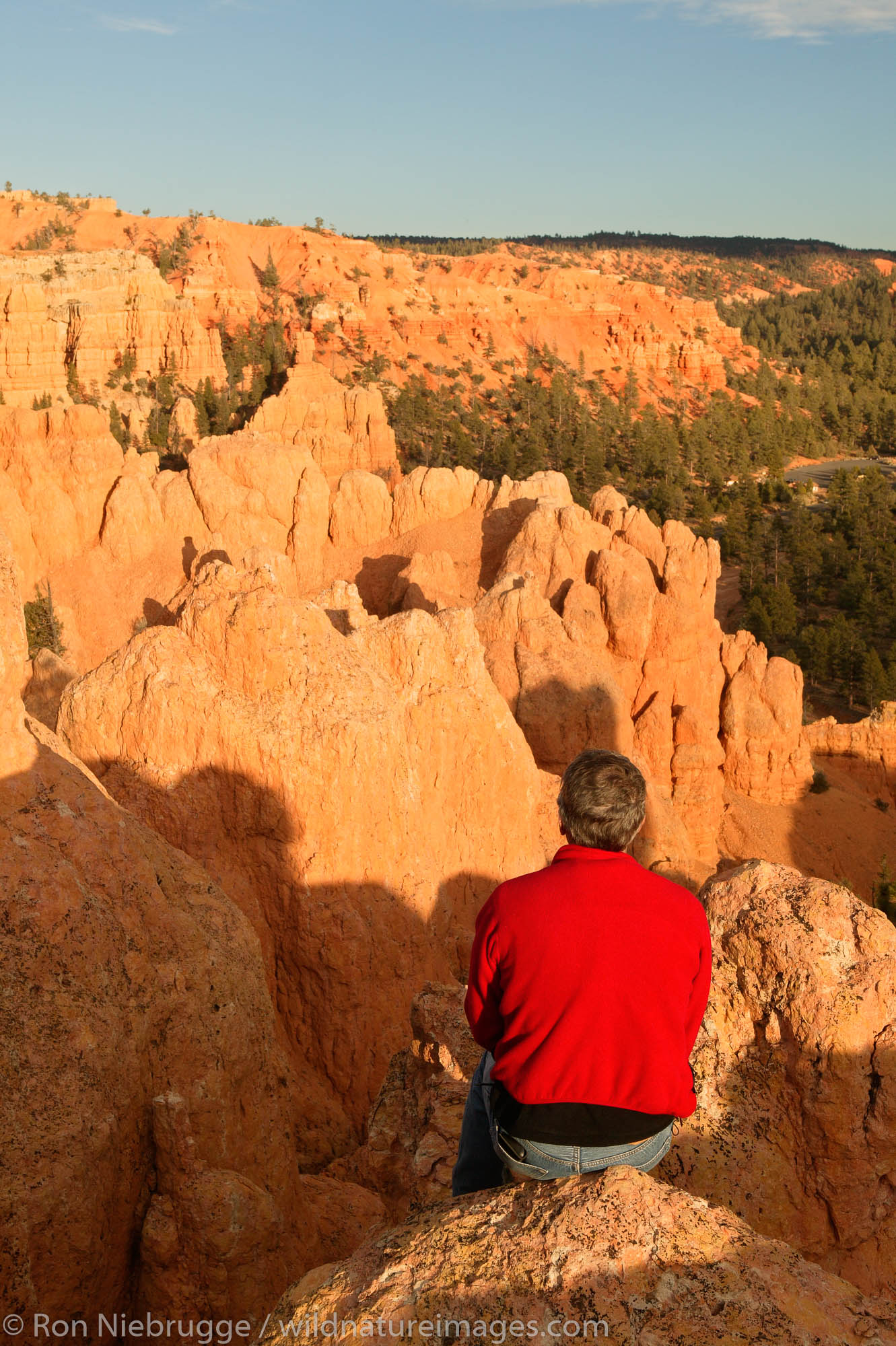 A Visitor in Red Canyon, Dixie National Forest, Utah.