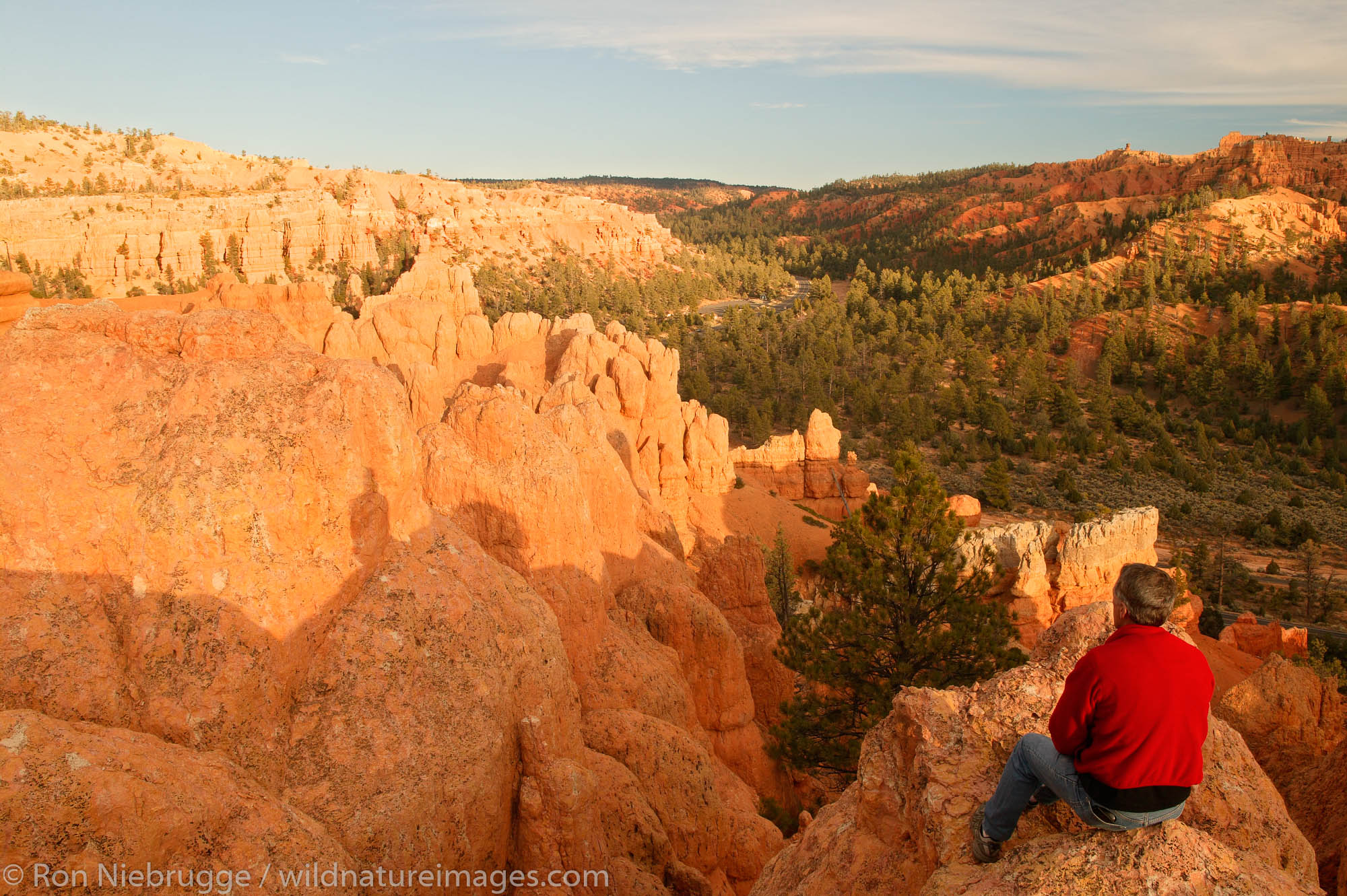 A Visitor in Red Canyon, Dixie National Forest, Utah.