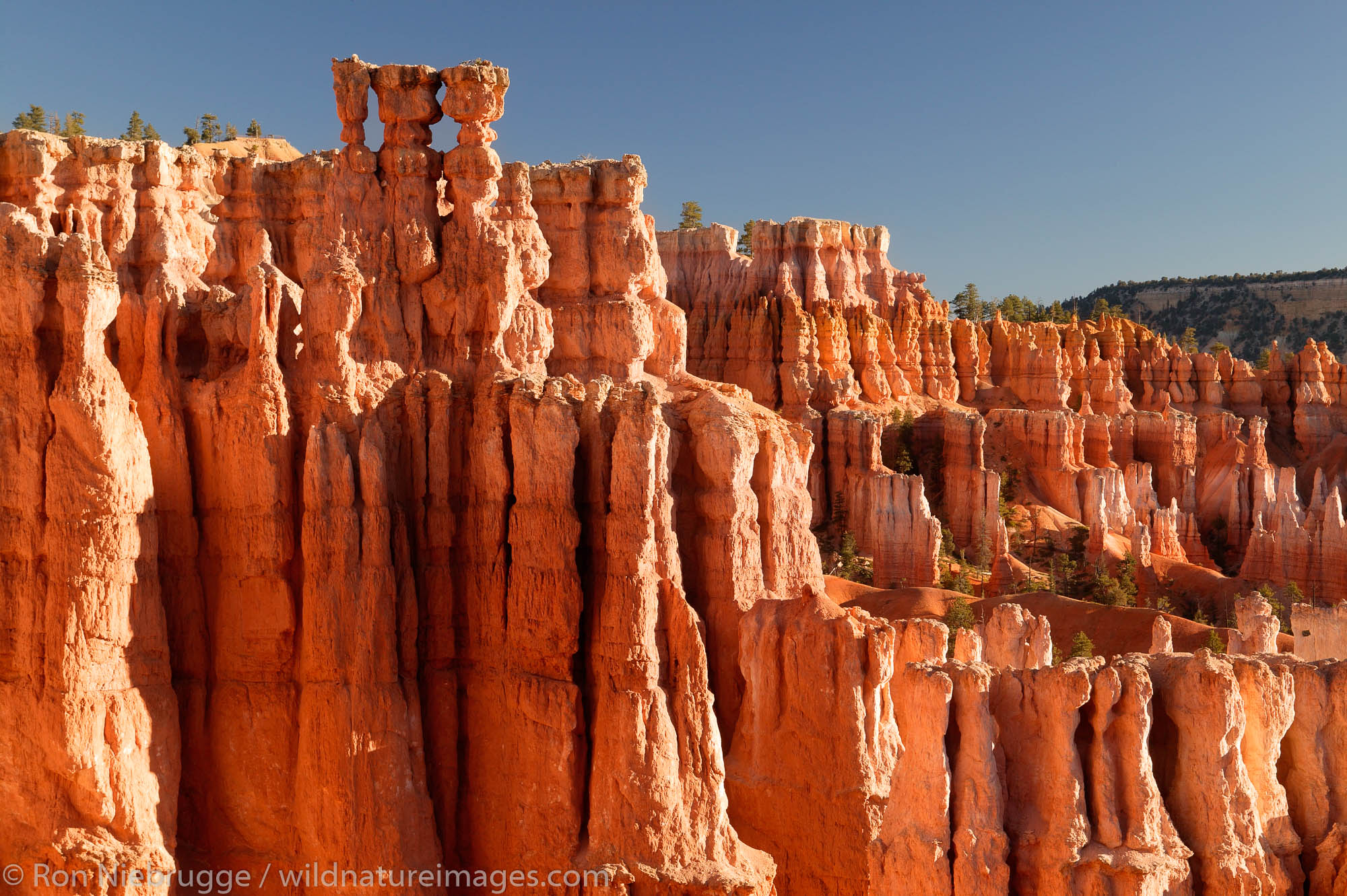 The Navajo Loop Trail, Bryce National Park, Utah.