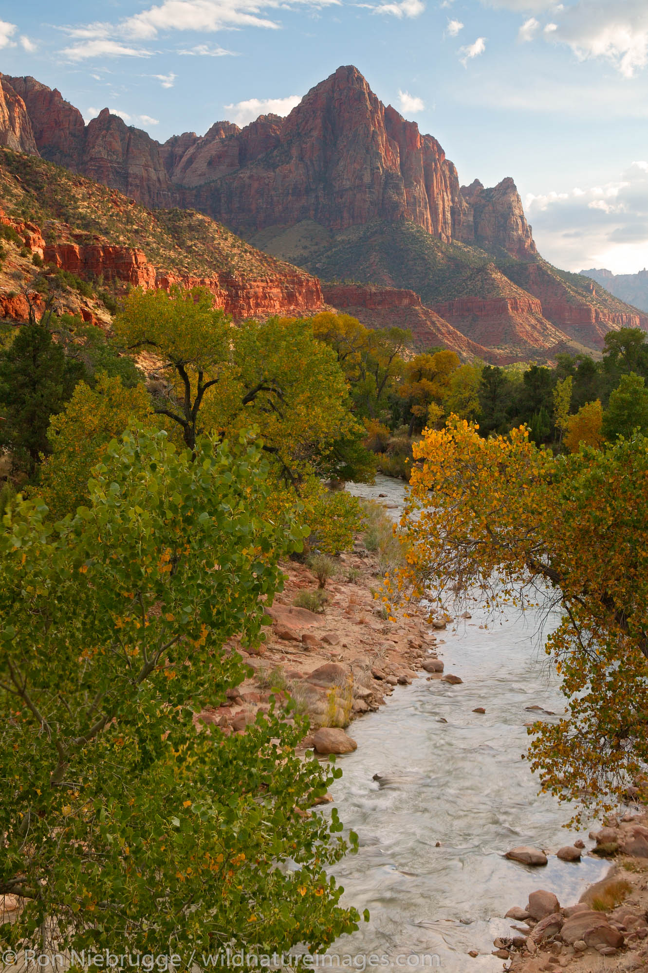 North Fork Virgin River and The Watchman, Zion National Park, Utah.
