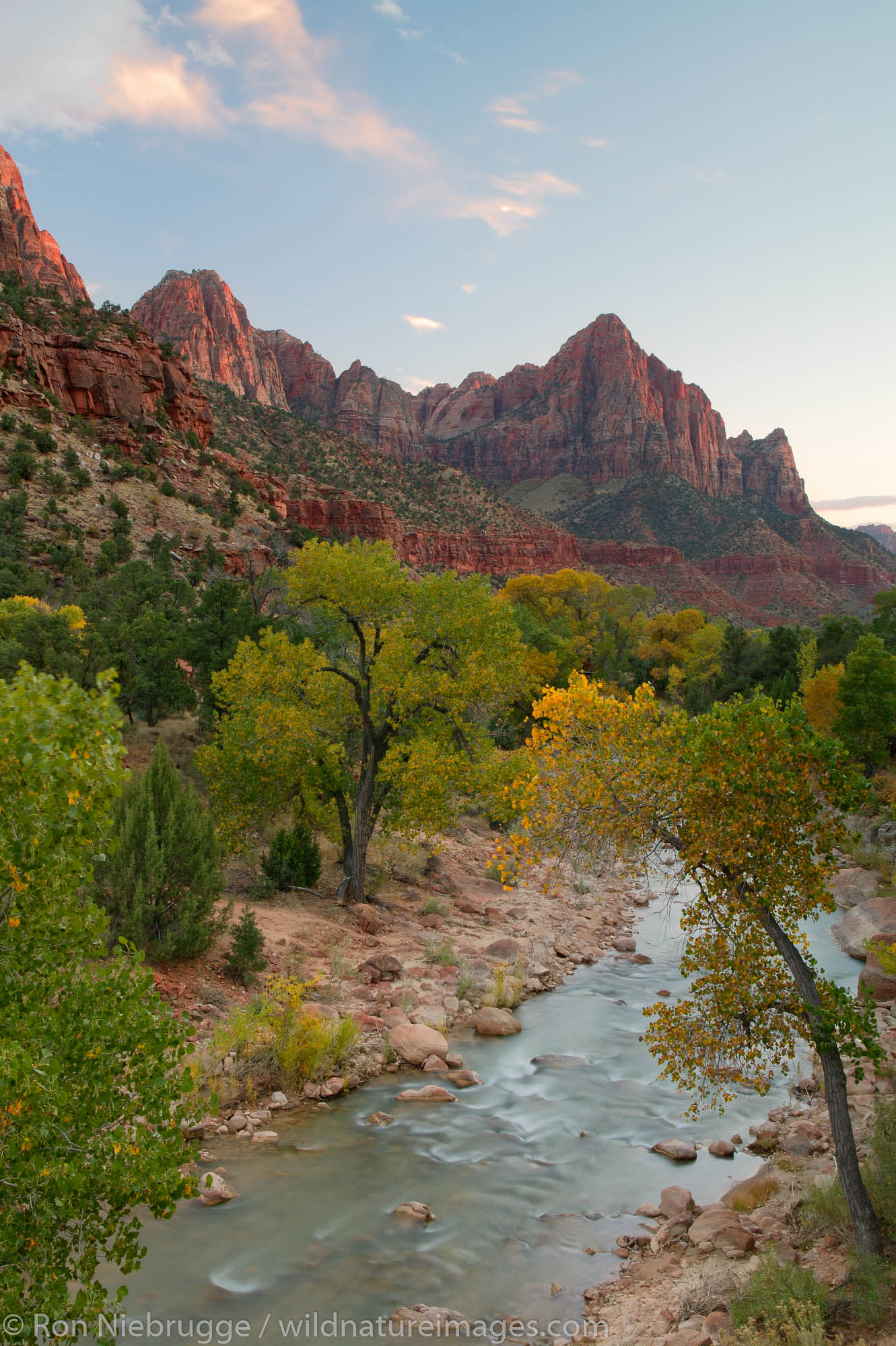 North Fork Virgin River and The Watchman, Zion National Park, Utah.