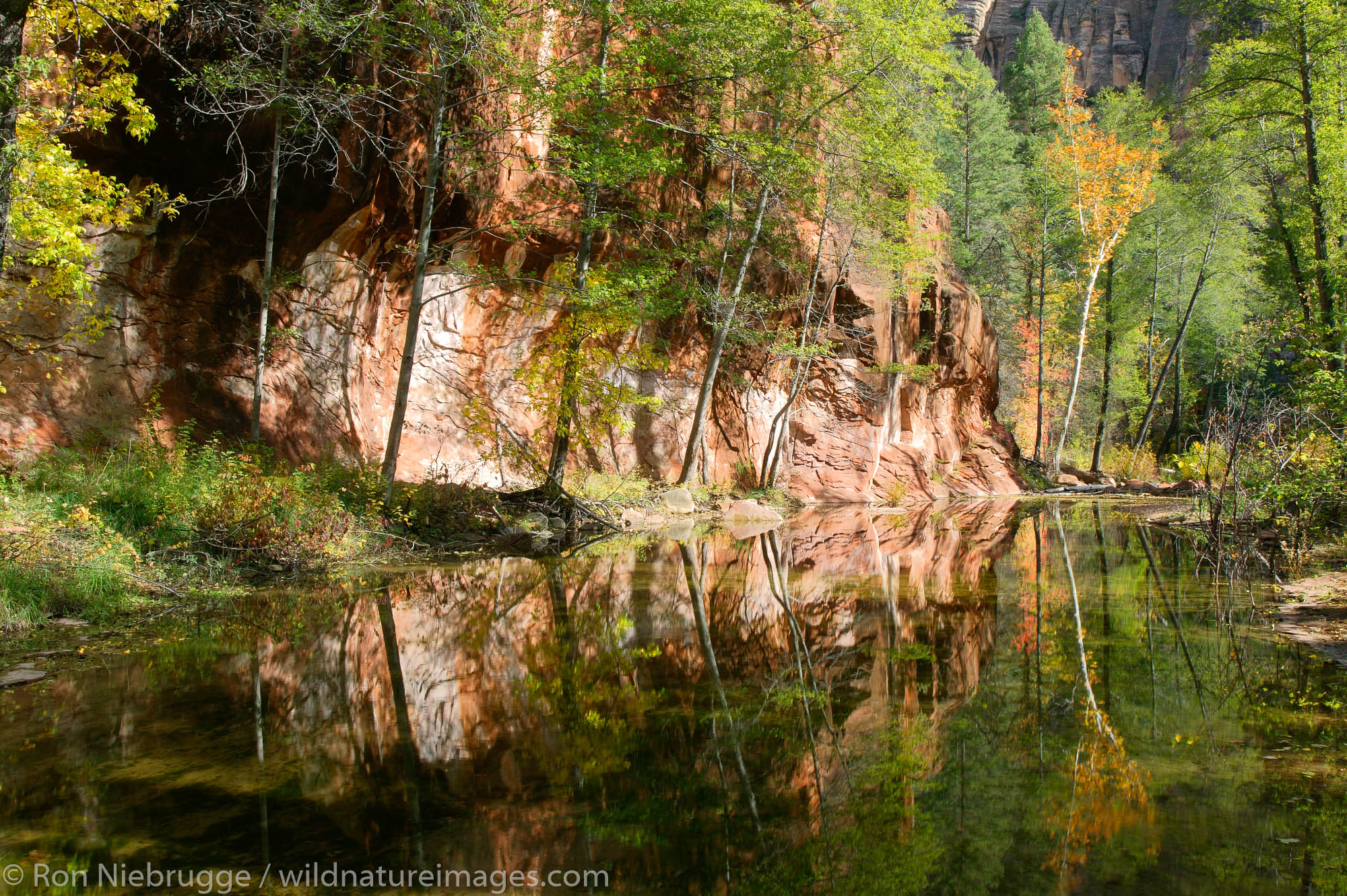 West Fork of Oak Creek trail, Coconino National Forest, near Sedona, Arizona.