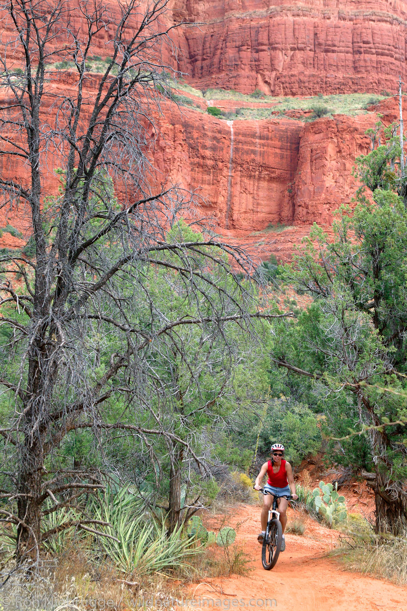 A visitor mountain bikes near Bell Rock, Red Rock Country, Coconino National Forest, Sedona, Arizona. (model released)