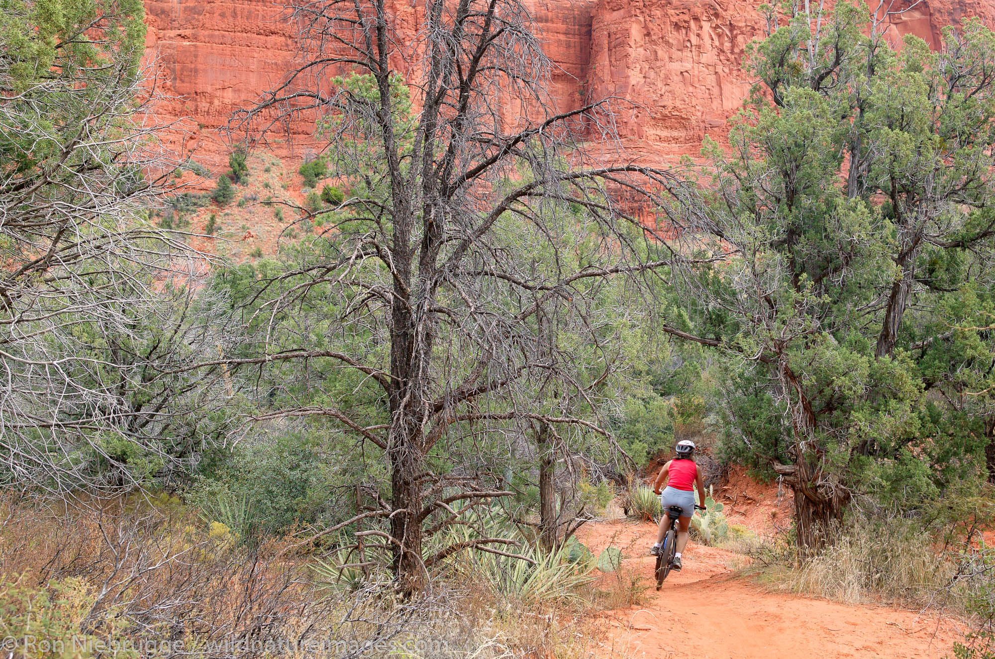 A visitor mountain bikes near Bell Rock, Red Rock Country, Coconino National Forest, Sedona, Arizona. (model released)