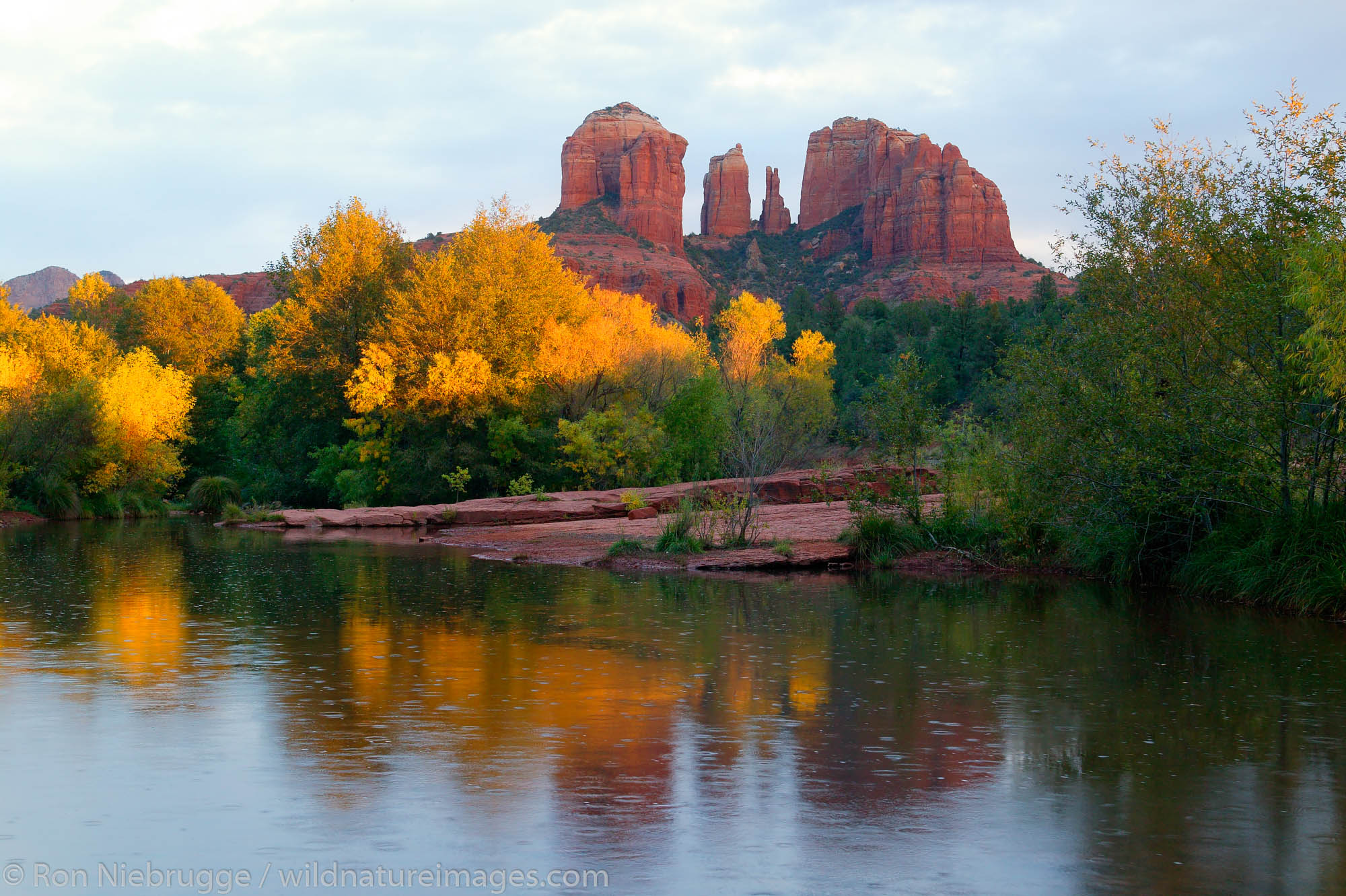 Oak Creek, Sedona, Arizona Photos by Ron Niebrugge