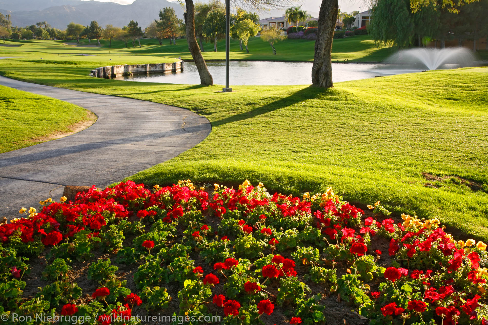 The golf course at the Westin Mission Hills Resort and Spa in Rancho Mirage near Palm Springs, California.