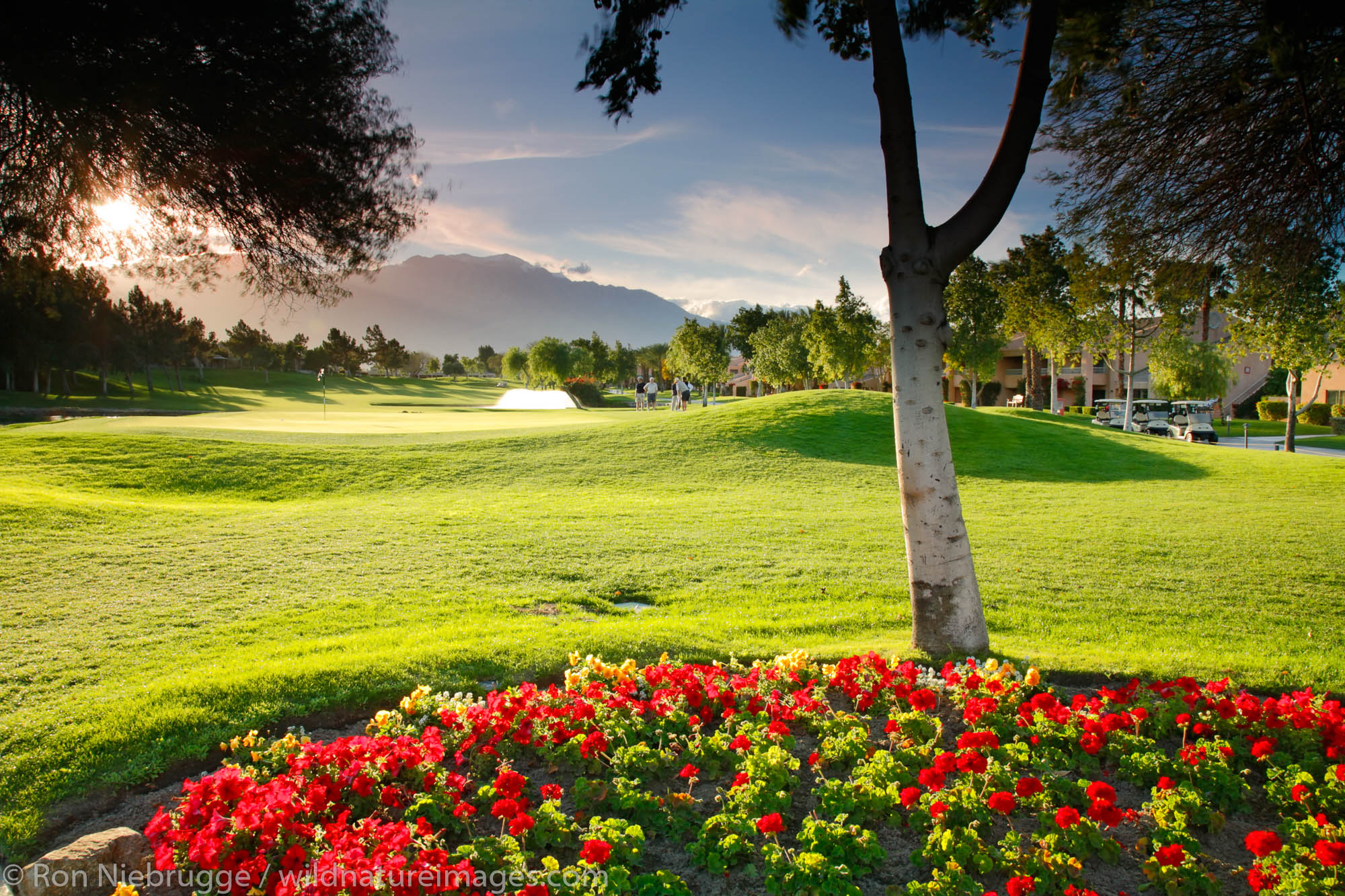 The 14th hole at the golf course at the Westin Mission Hills Resort and Spa in Rancho Mirage near Palm Springs, California.