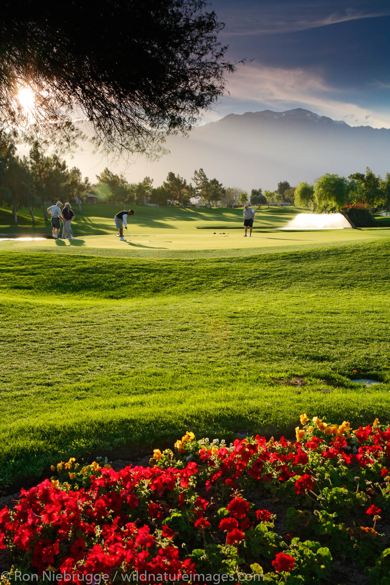 The 14th hole at the golf course at the Westin Mission Hills Resort and Spa in Rancho Mirage near Palm Springs, California.
