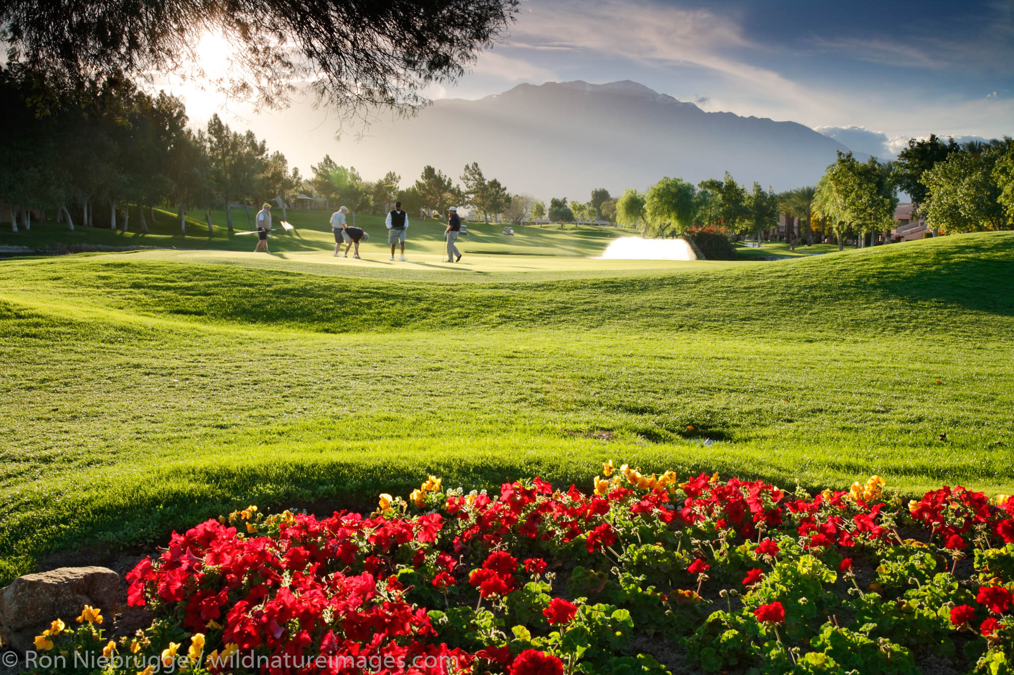 Westin Mission Hills Resort Photos by Ron Niebrugge