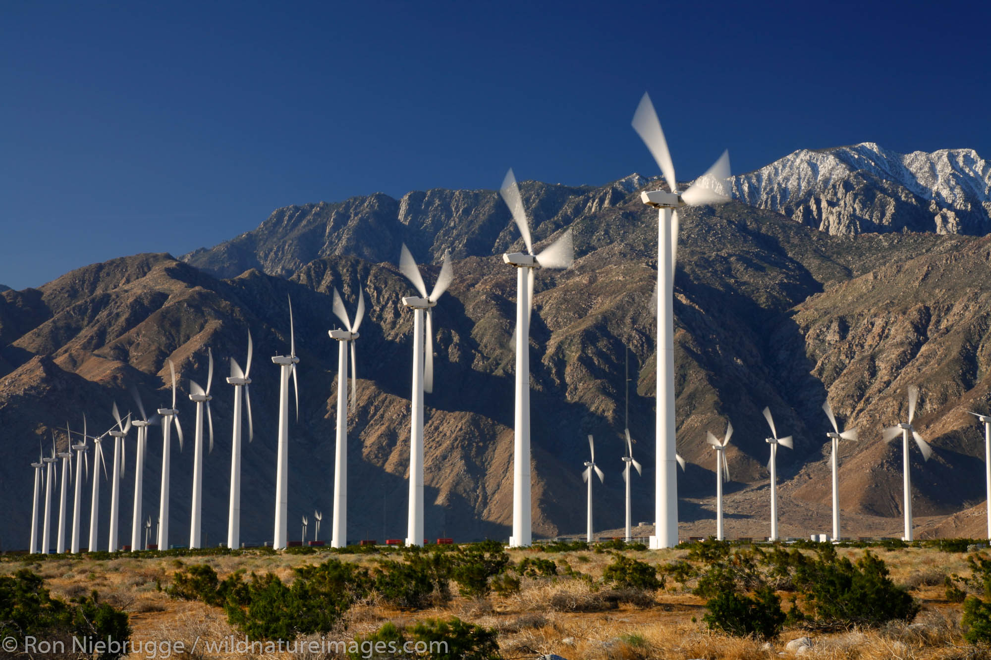 Windmills near Palm Springs, California.