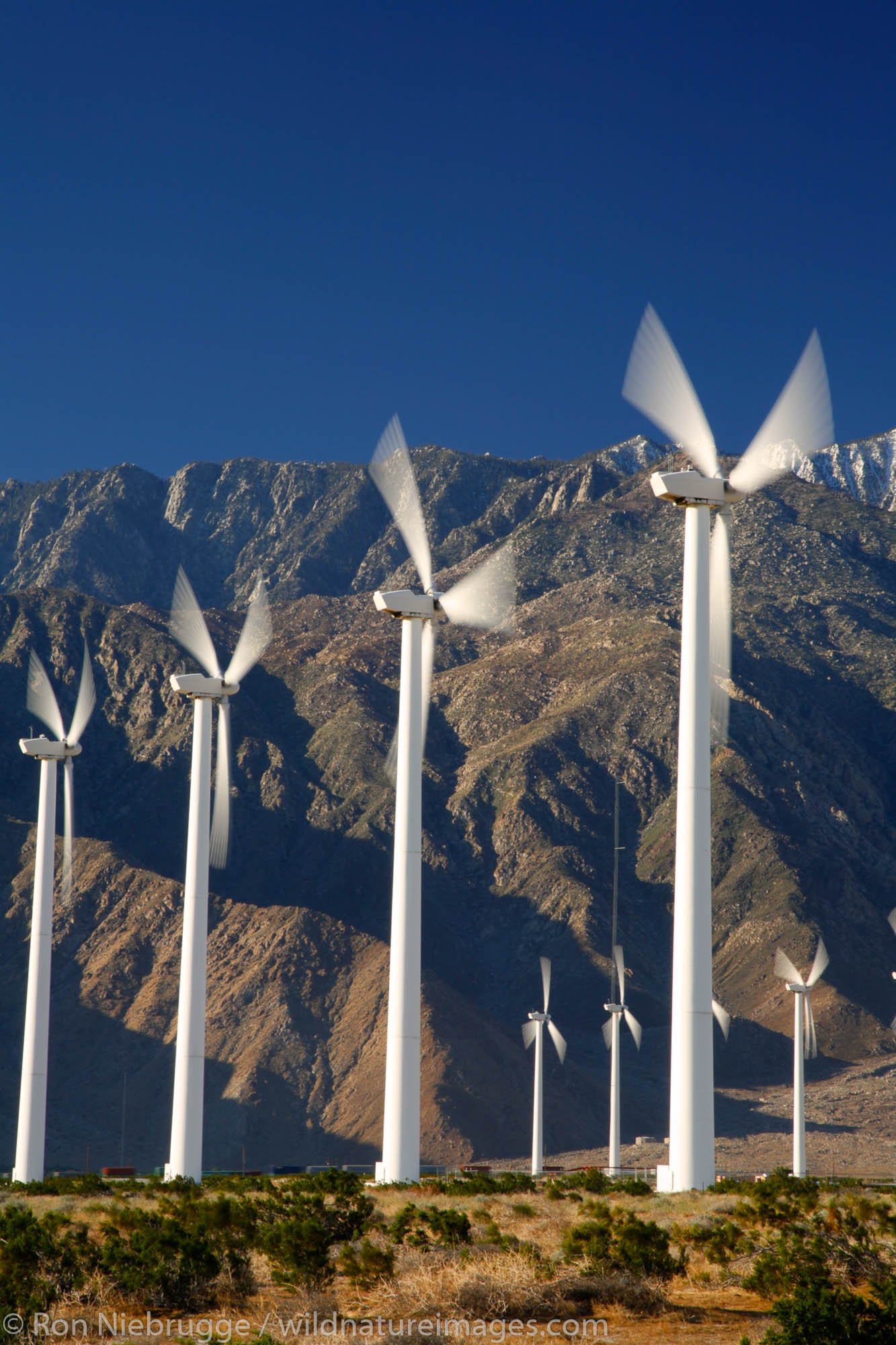 Windmills near Palm Springs, California.