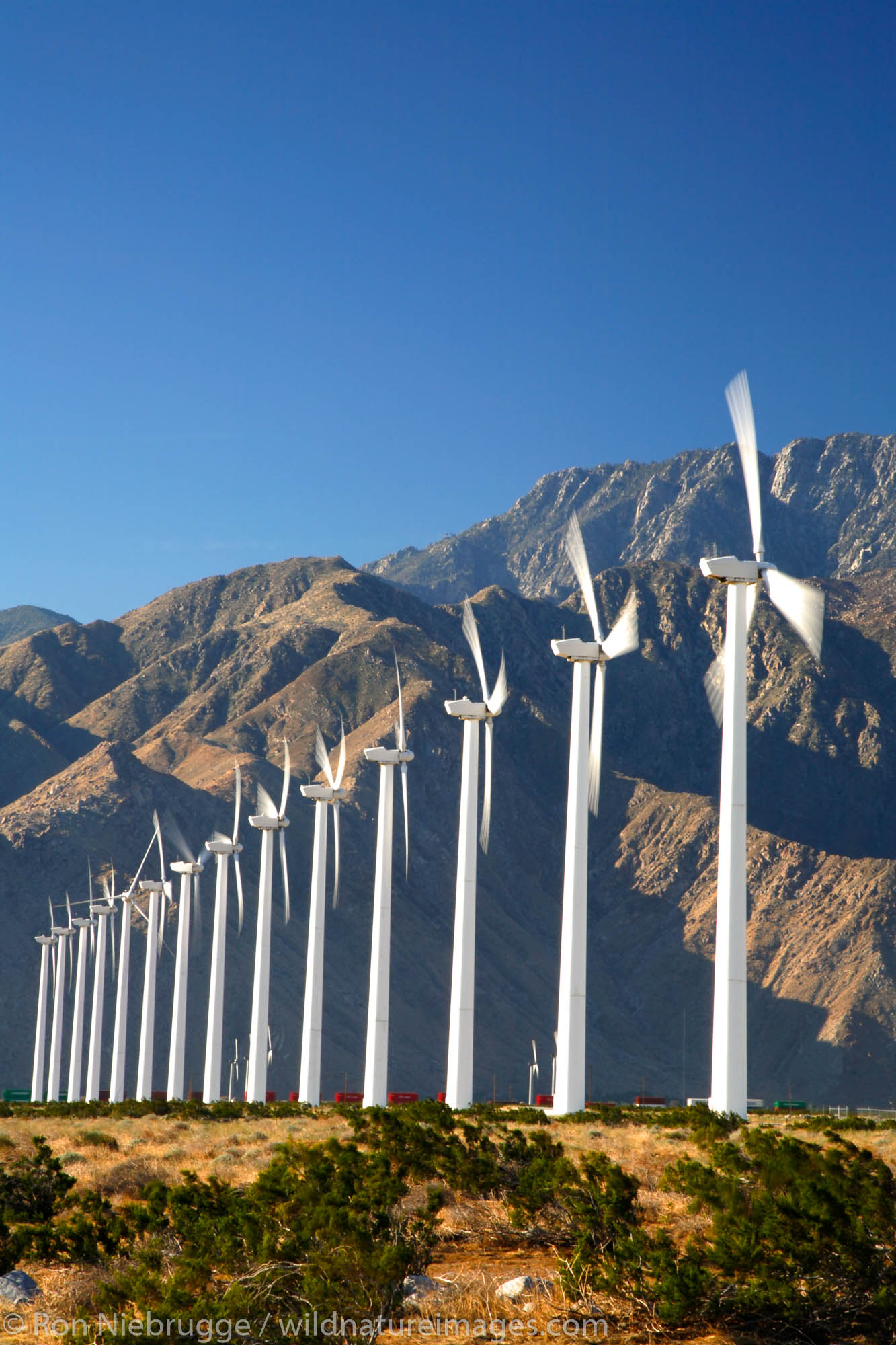 Windmills near Palm Springs, California.
