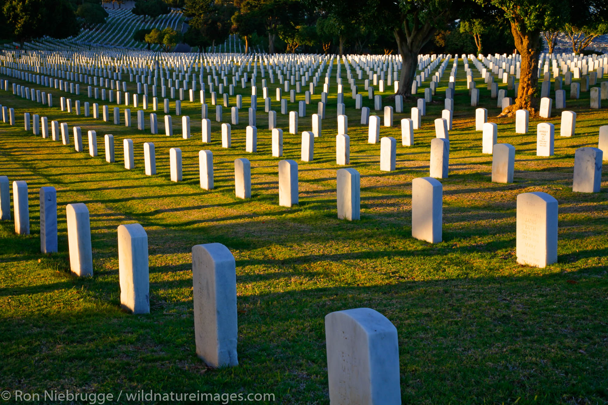 The Fort Rosecrans National Cemetery on Point Loma, San Diego, California.