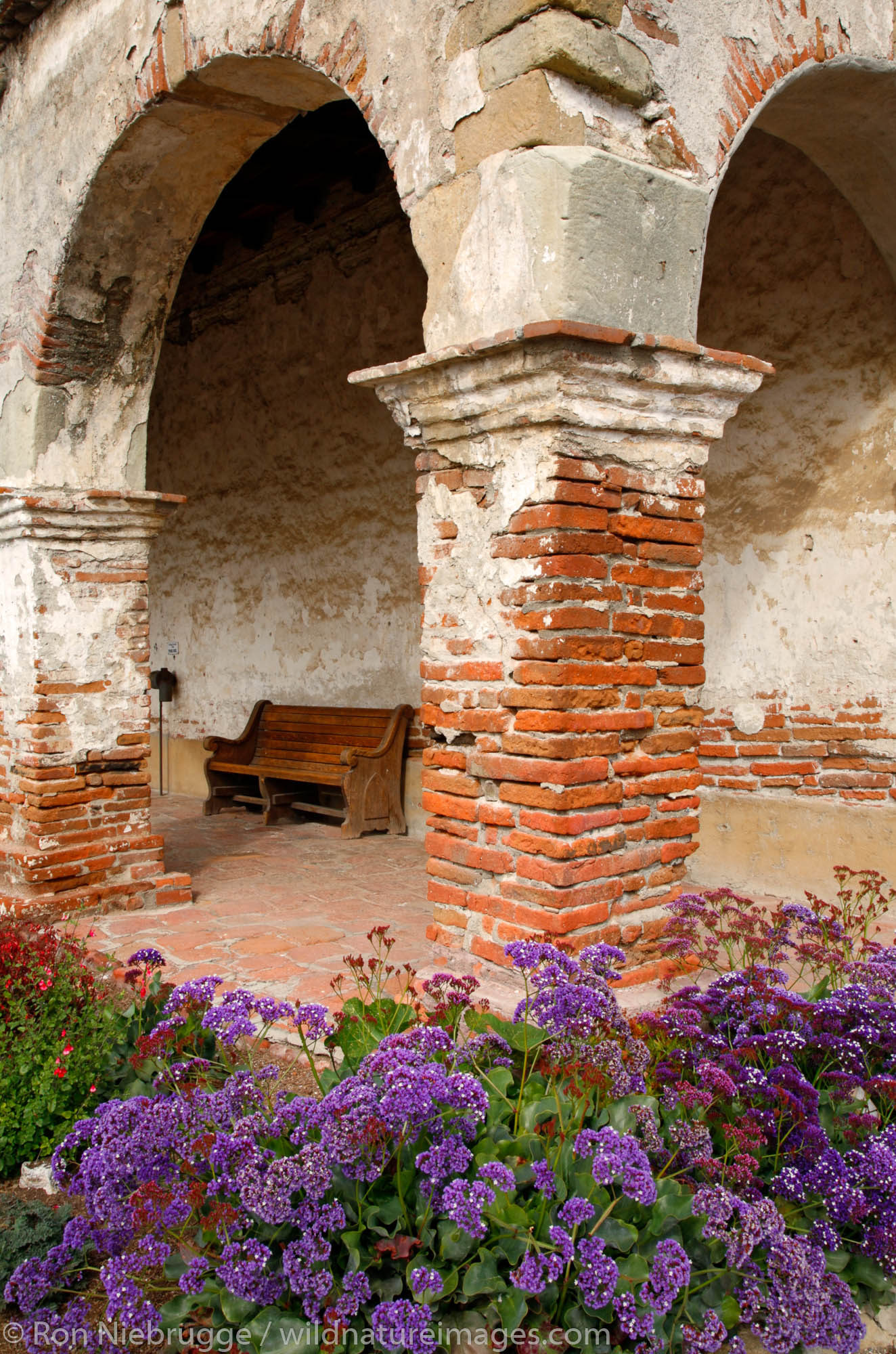 Flowers at the Historic Mission San Juan Capistrano, Orange County, California.