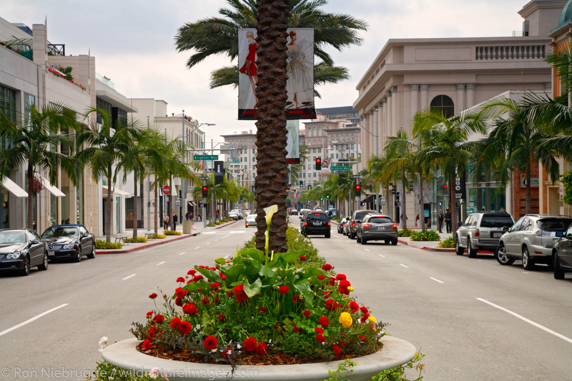 Rodeo Drive in Beverly Hills, Los Angeles, California.
