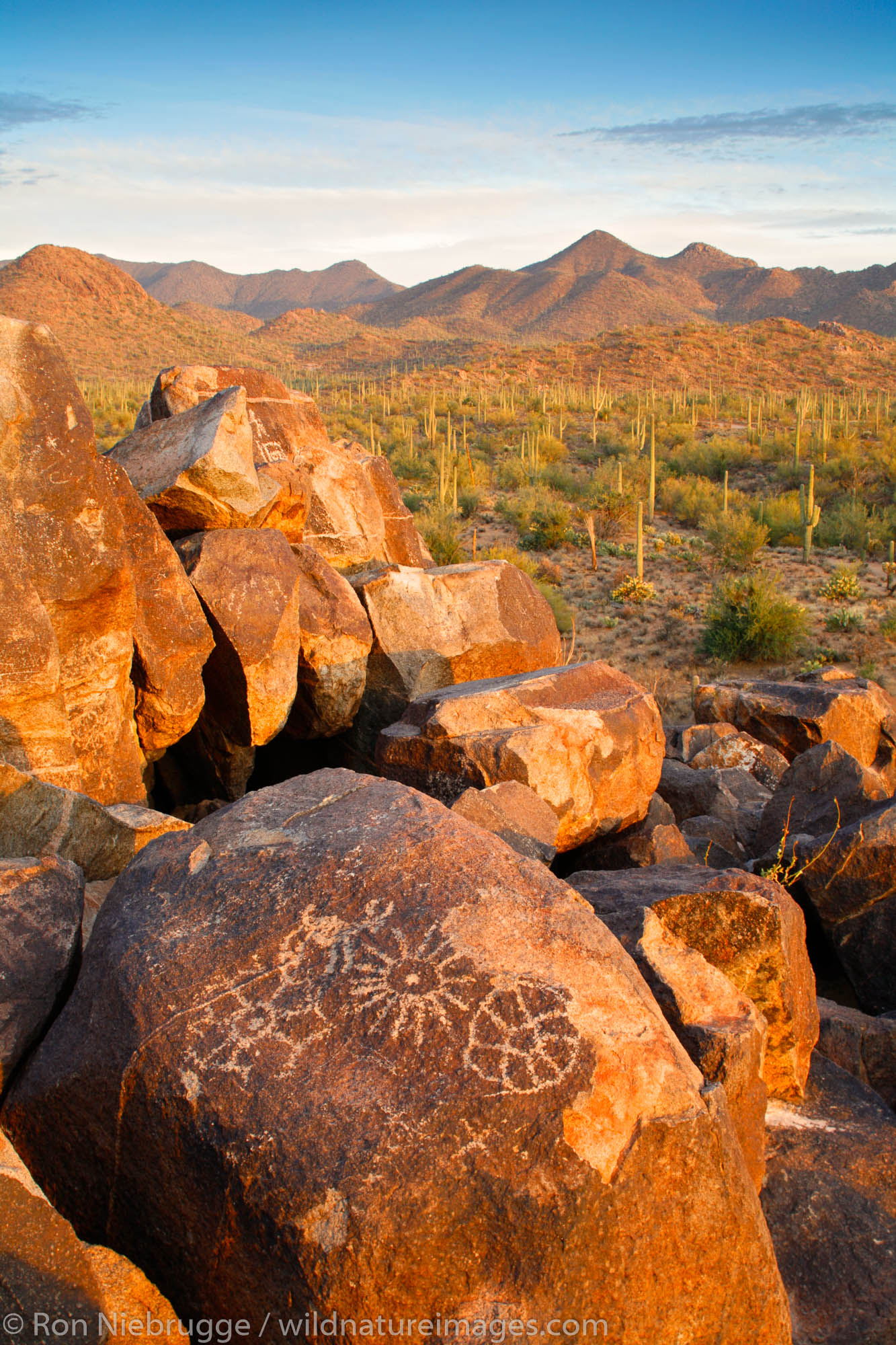 Rock Art in Saguaro National Park, Tucson Mountain District or Saguaro West, Tucson, Arizona.