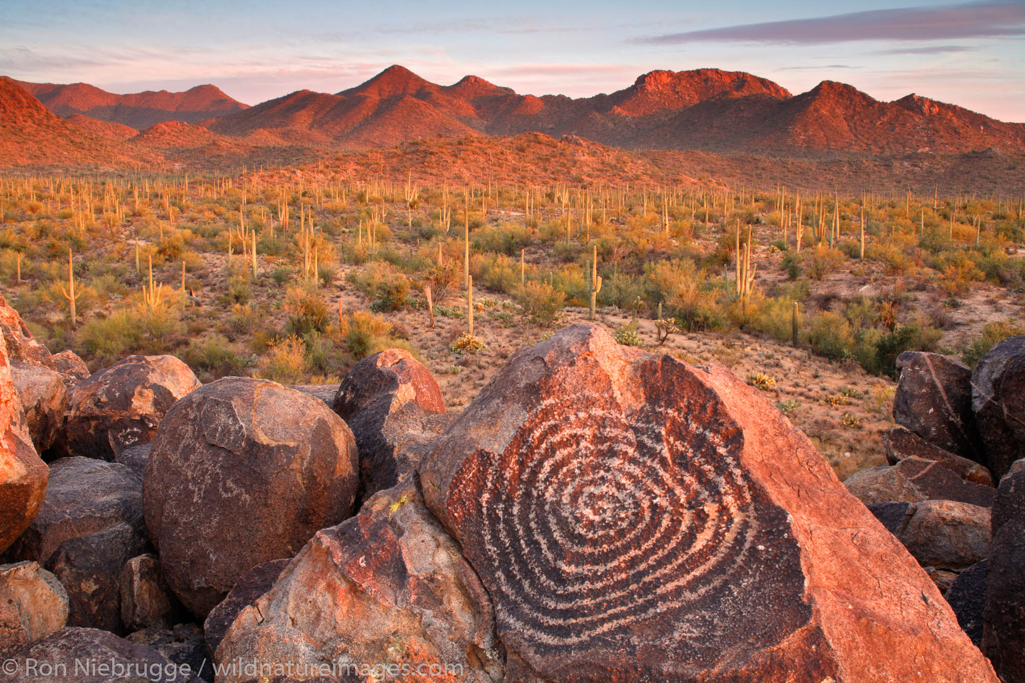 Rock Art in Saguaro National Park, Tucson Mountain District or Saguaro West, Tucson, Arizona.