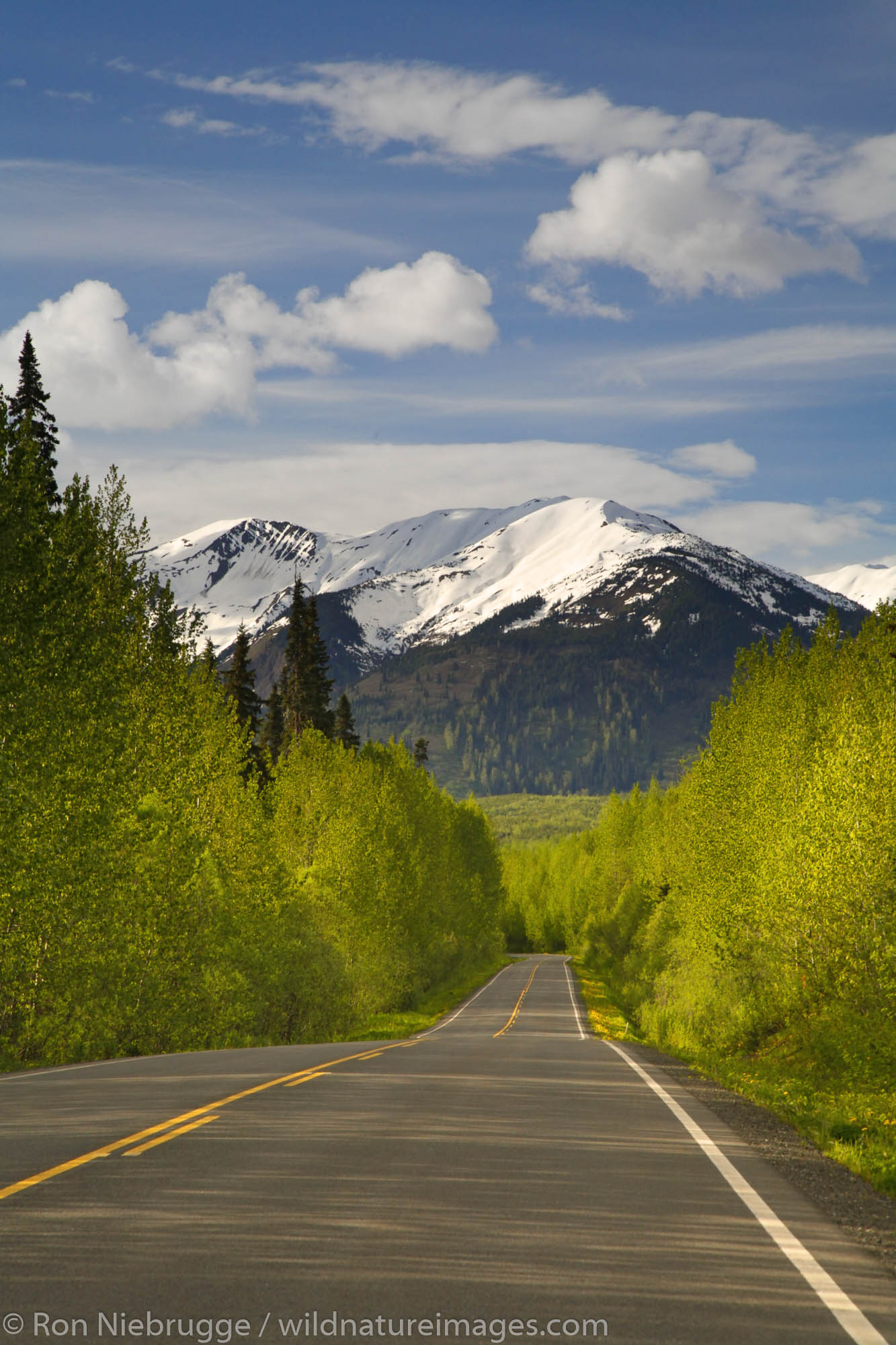 The Cassiar Highway, British Columbia, Canada.