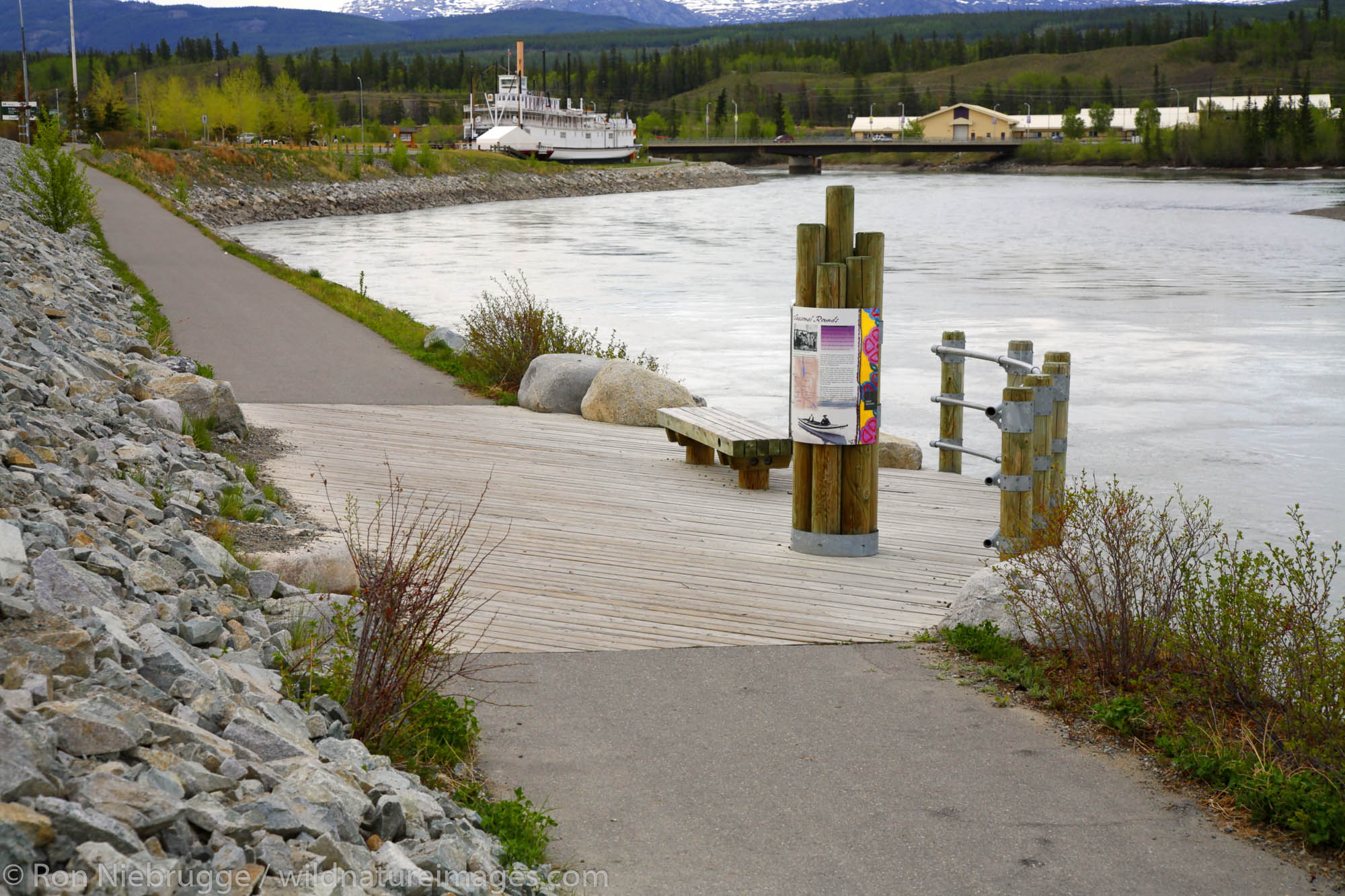 Bike trail along the Yukon River, Whitehorse, Yukon Territory, Canada.