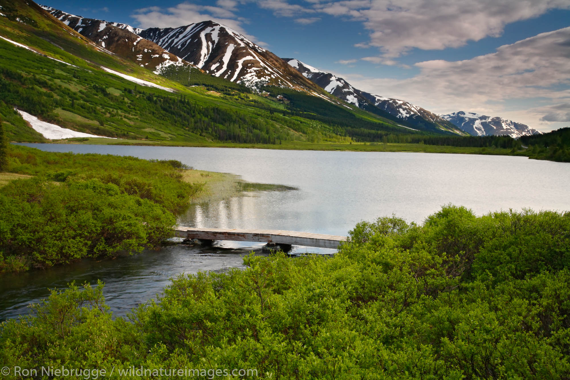 Summit Lake, Kenai Peninsula, Chugach National Forest, Alaska.