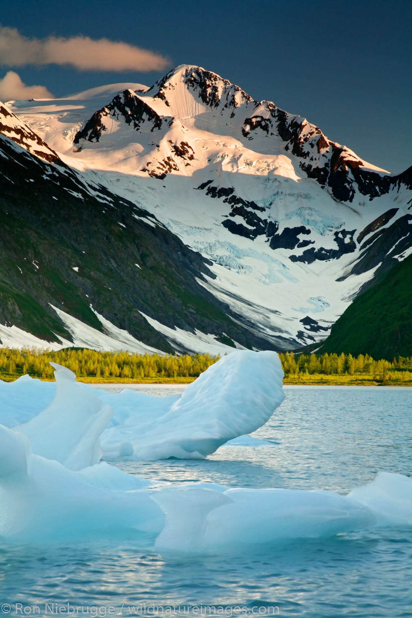 Iceberg floating in Portage Lake with Byron Glacier, Chugach National Forest, Alaska.