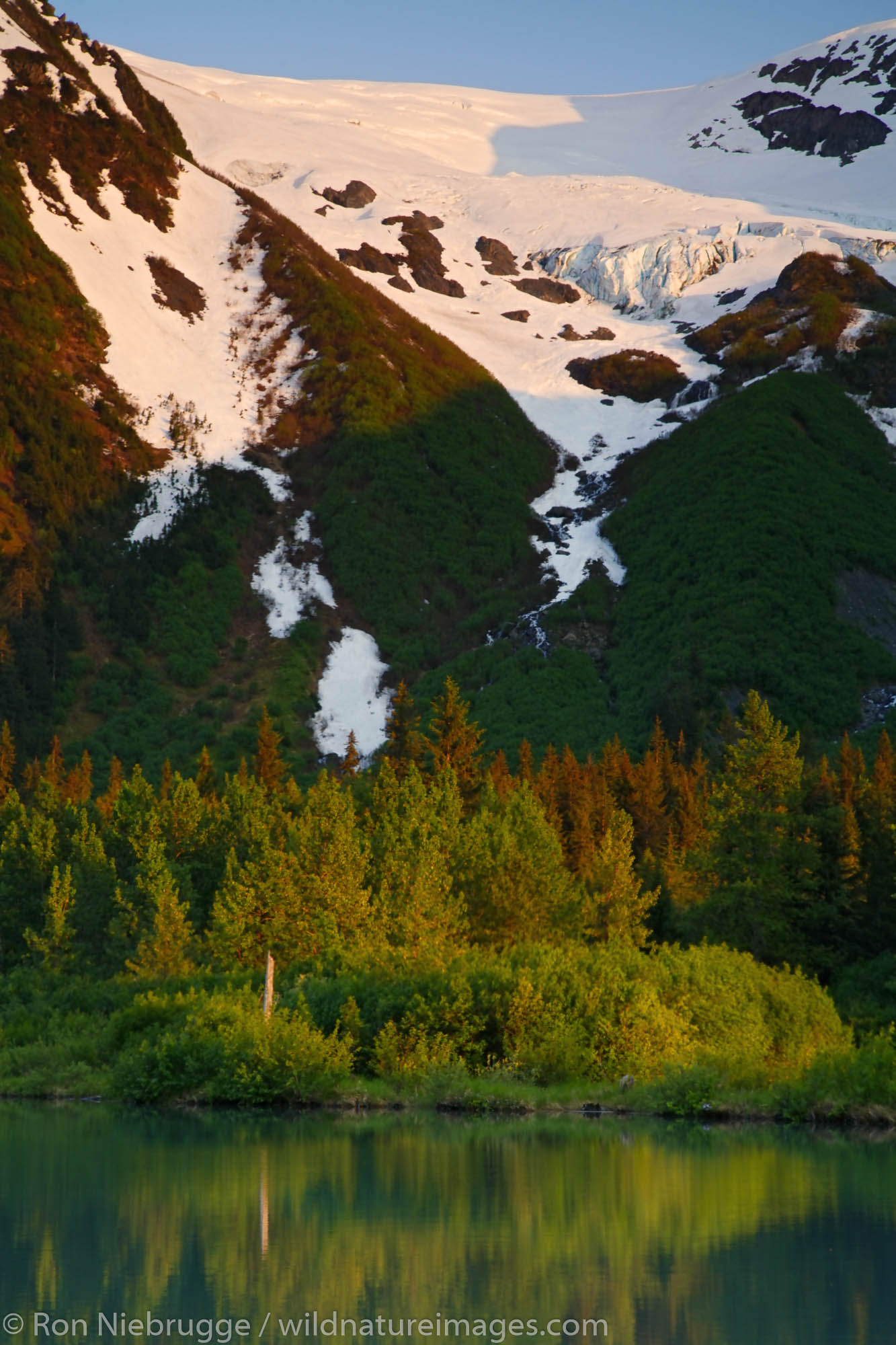 Portage Valley, Chugach National Forest, Alaska.