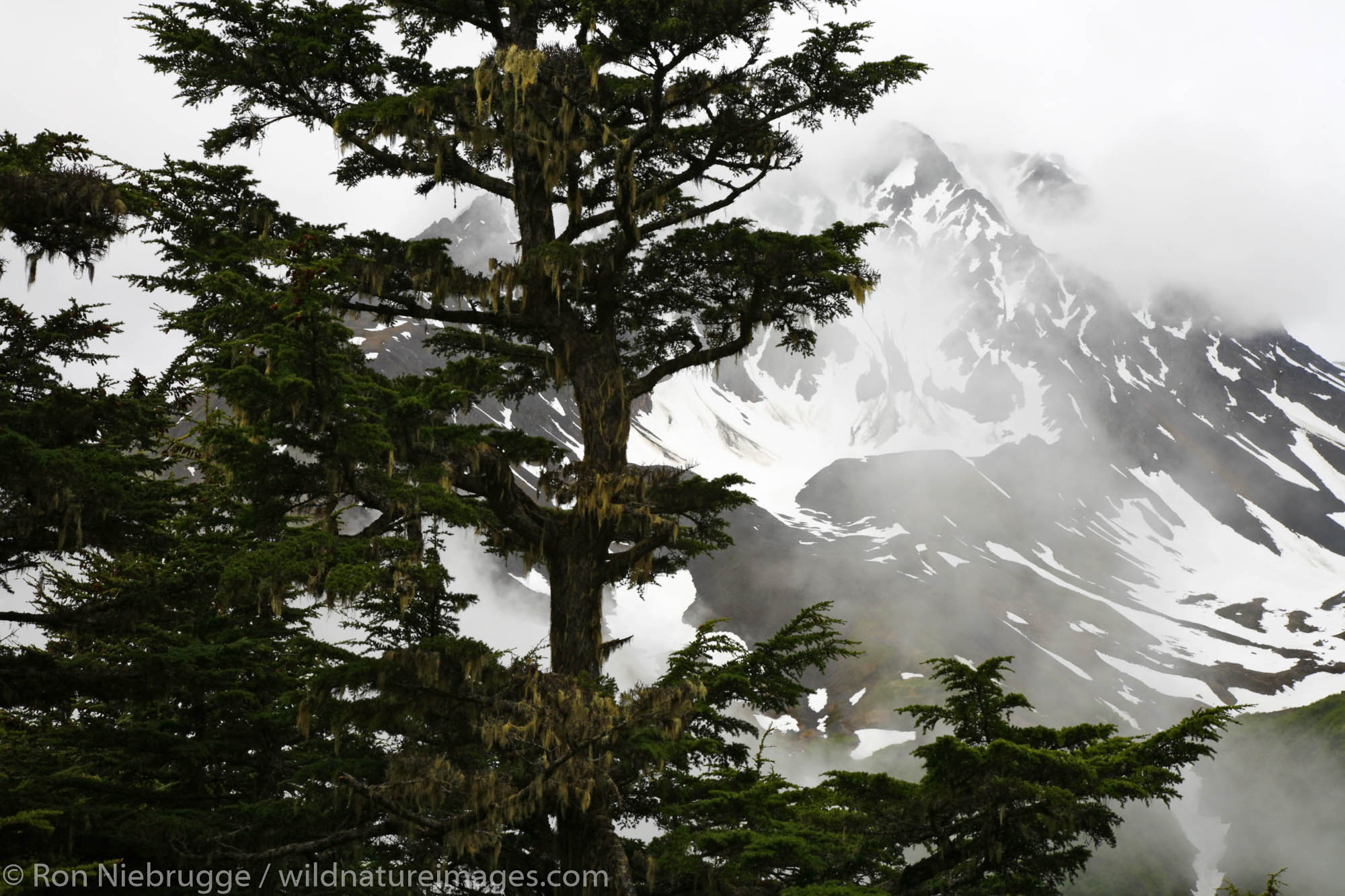 Mountains along the Lost Lake Cabin Trail, Kenai Peninsula, Chugach National Forest, Alaska.