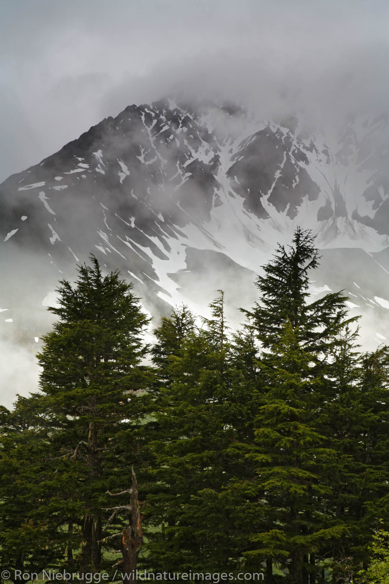Mountains along the Lost Lake Trail, Kenai Peninsula, Chugach National Forest, Alaska.