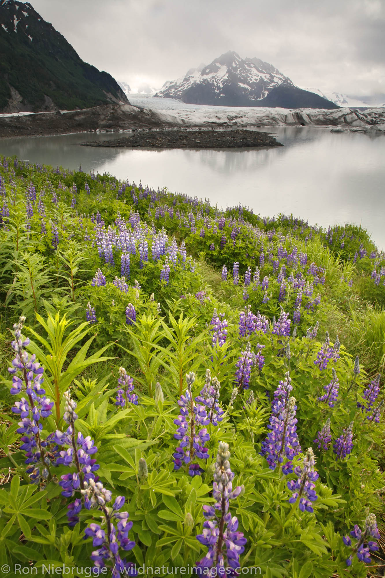 Sheridan Glacier, Cordova, Chugach National Forest, Alaska.