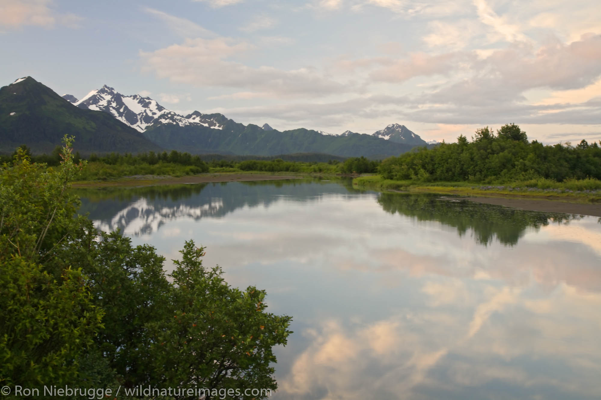 Alaganik Slough, Copper River Delta, Cordova, Chugach National Forest, Alaska.