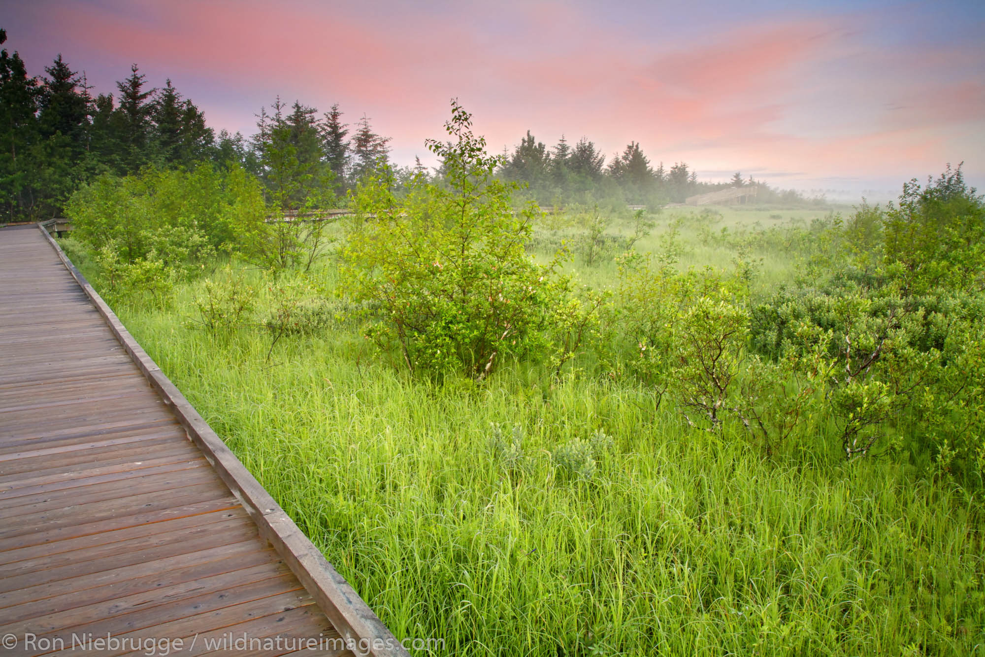 Boardwalk along Alaganik Slough at sunrise, Copper River Delta, Cordova, Chugach National Forest, Alaska.