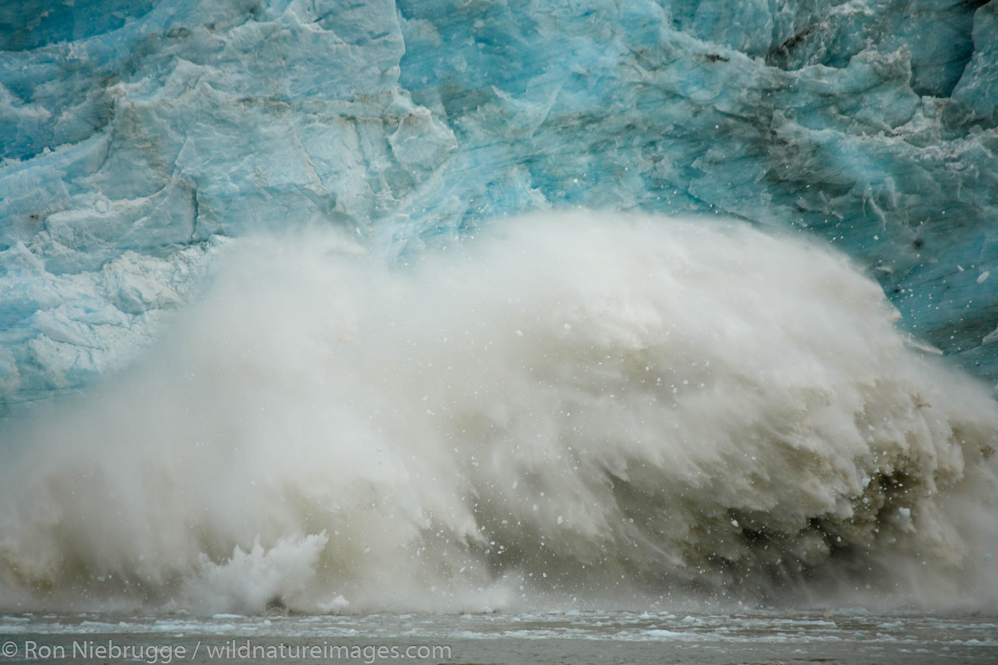 Childs Glacier calves into the the Copper River, Cordova, Chugach National Forest, Alaska.