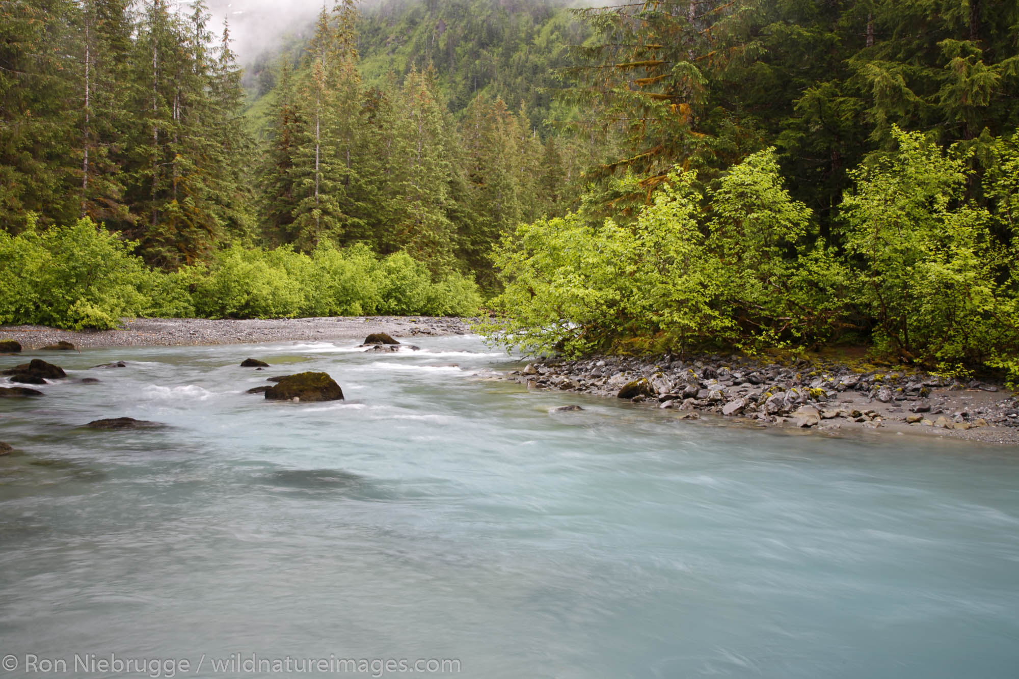 Power Creek, Cordova, Chugach National Forest, Alaska.