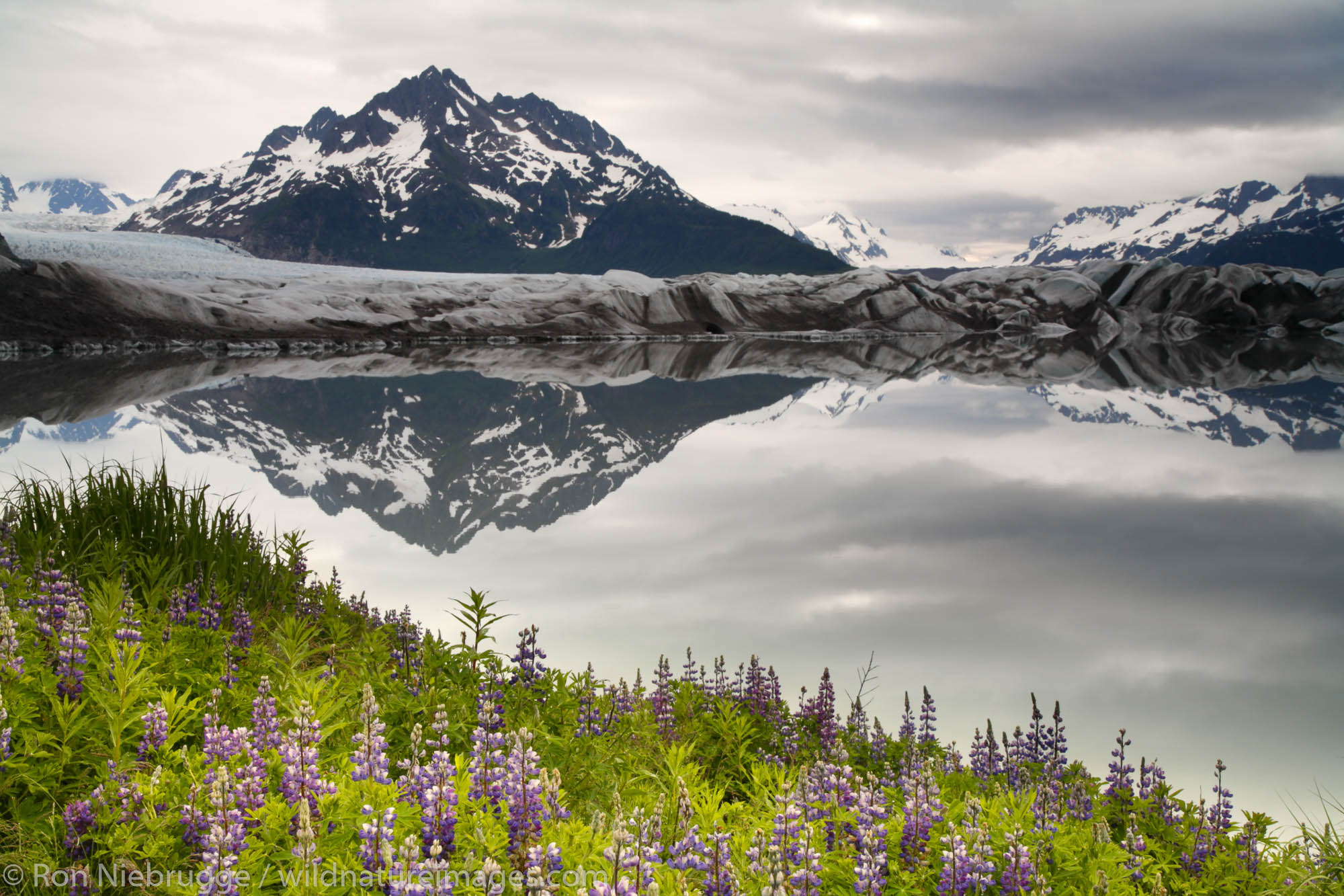 Sheridan Glacier, Cordova, Chugach National Forest, Alaska.