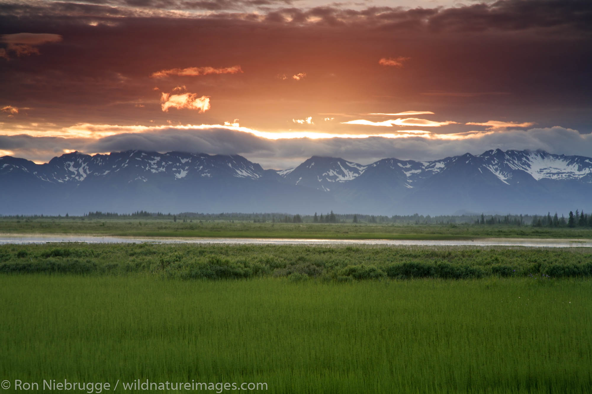 Sunset at Alaganik Slough, Copper River Delta, Cordova, Chugach National Forest, Alaska.