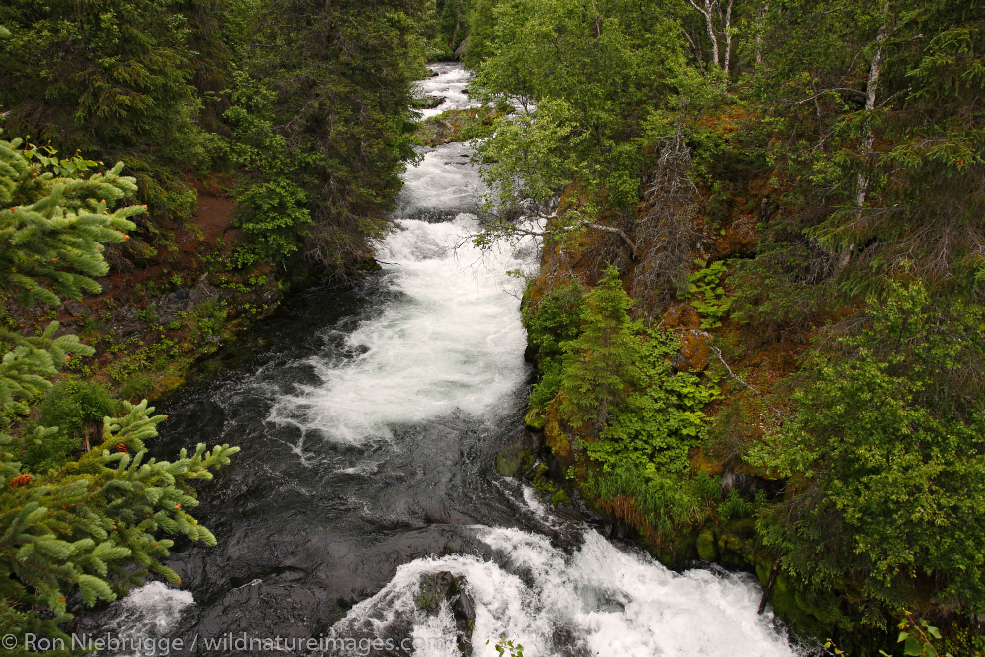 Russian River Falls, Russian Lakes Trail, Kenai Peninsula, Chugach National Forest,  Alaska.