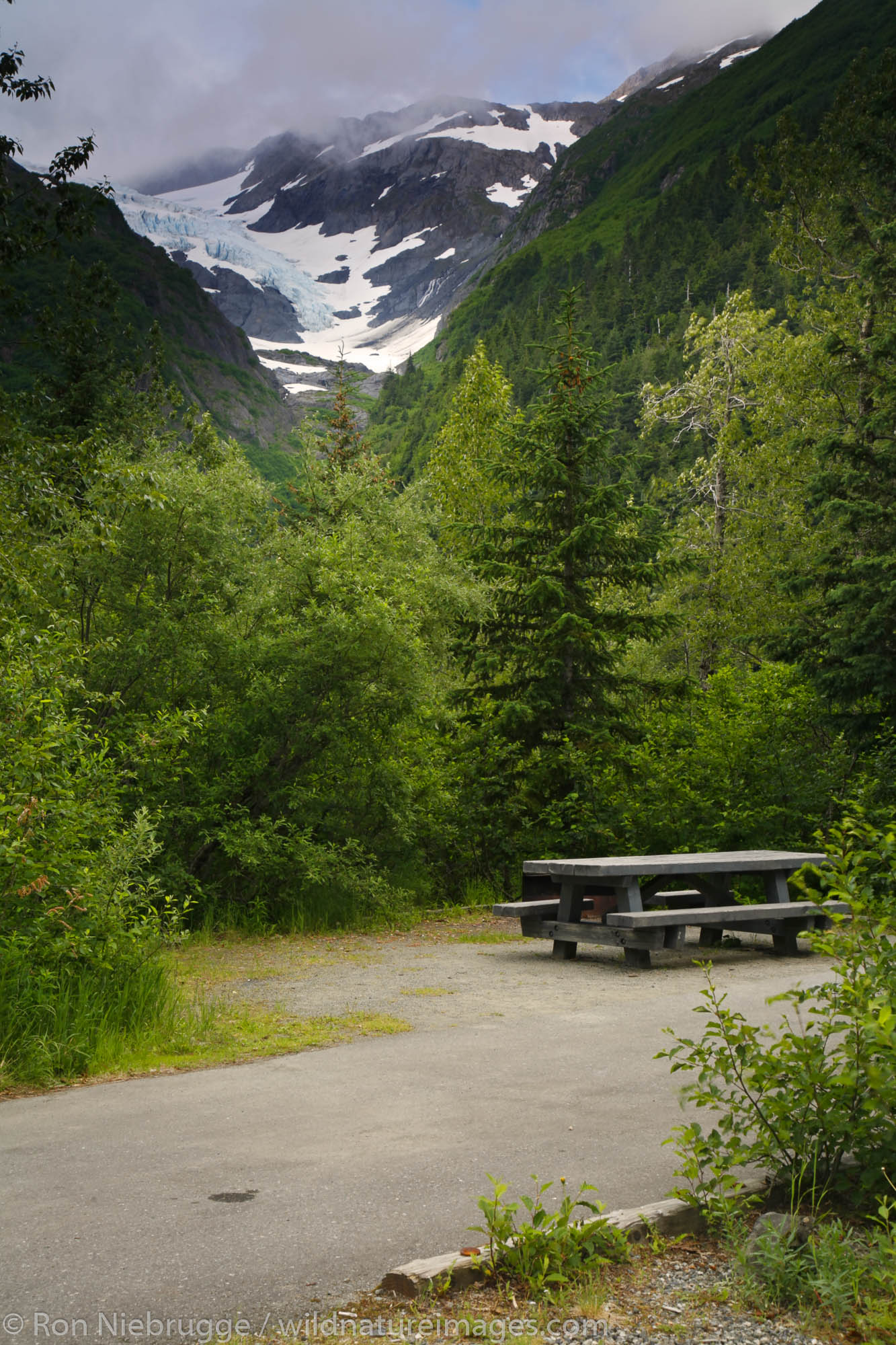 Middle Glacier from the Williwaw Campground, Portage Valley, Chugach National Forest, Alaska.