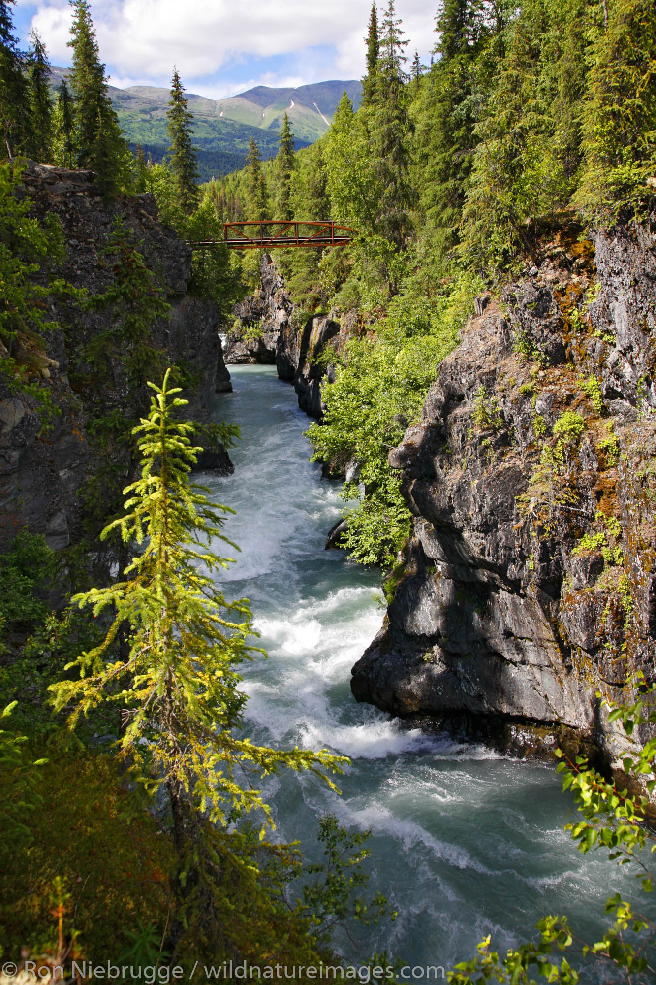 Footbridge over Six Mile Creek, Kenai Peninsula, Chugach National Forest, Alaska.